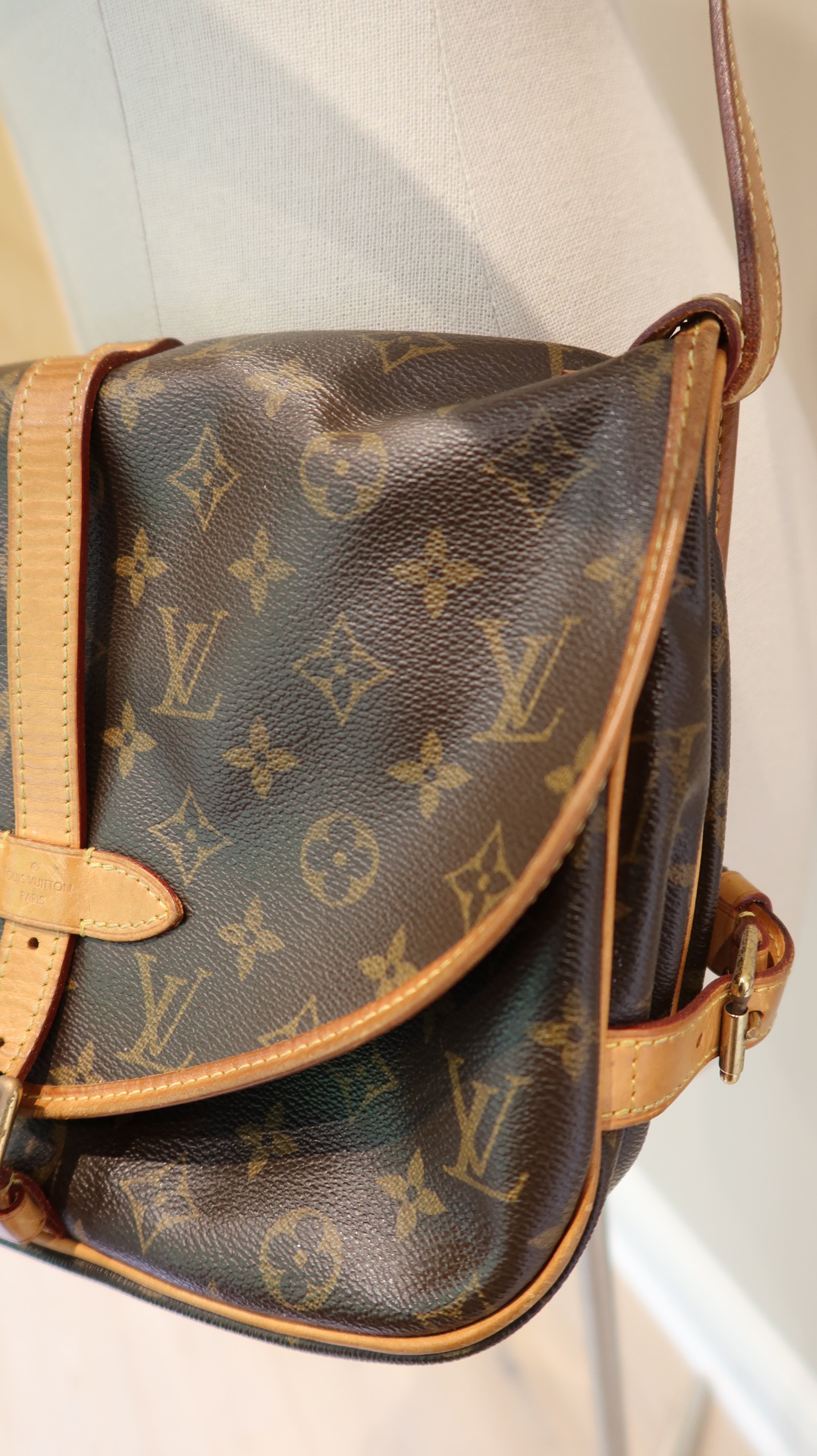 Louis Vuitton Saumur Bag