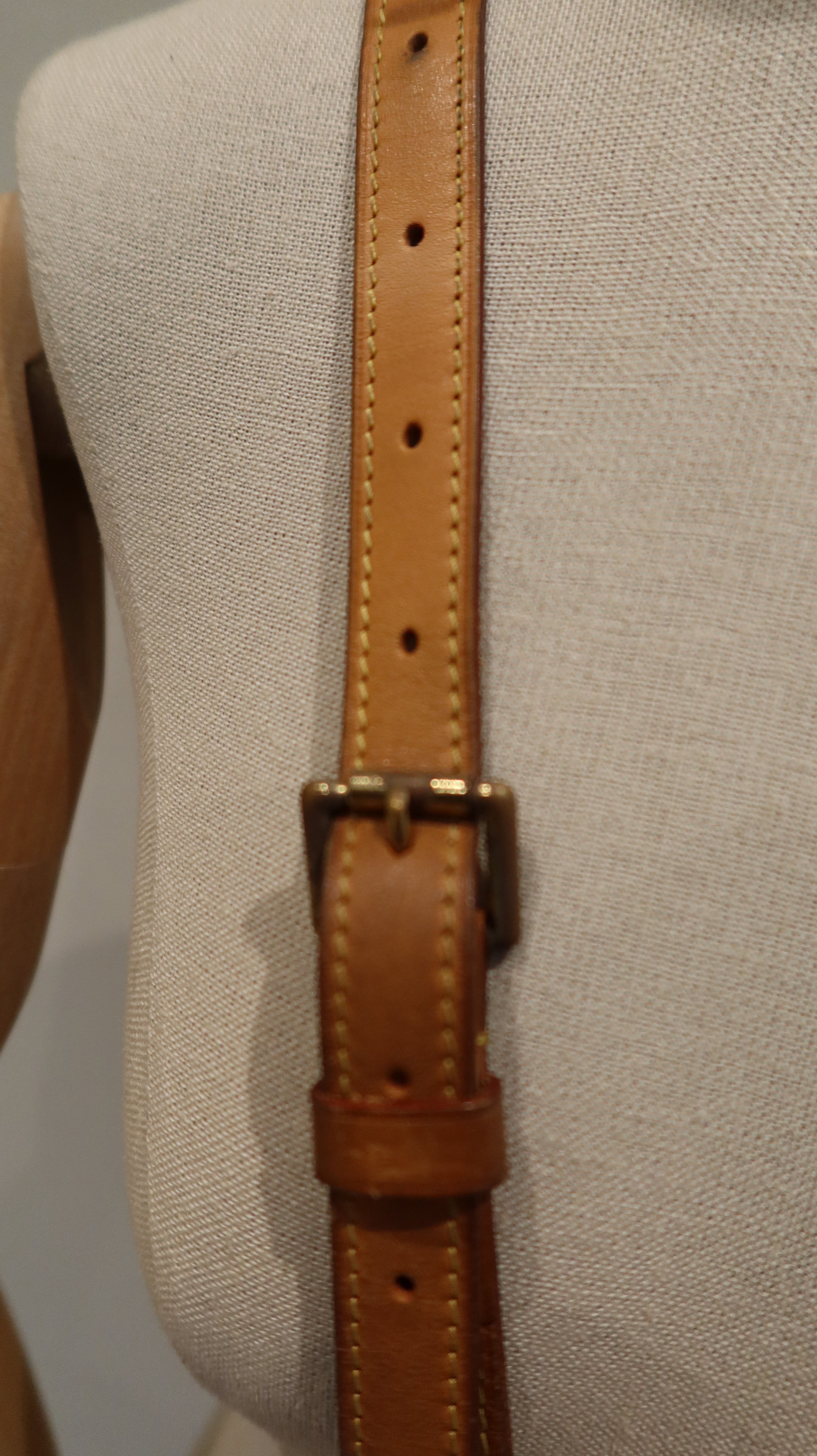 Louis Vuitton Saumur Bag