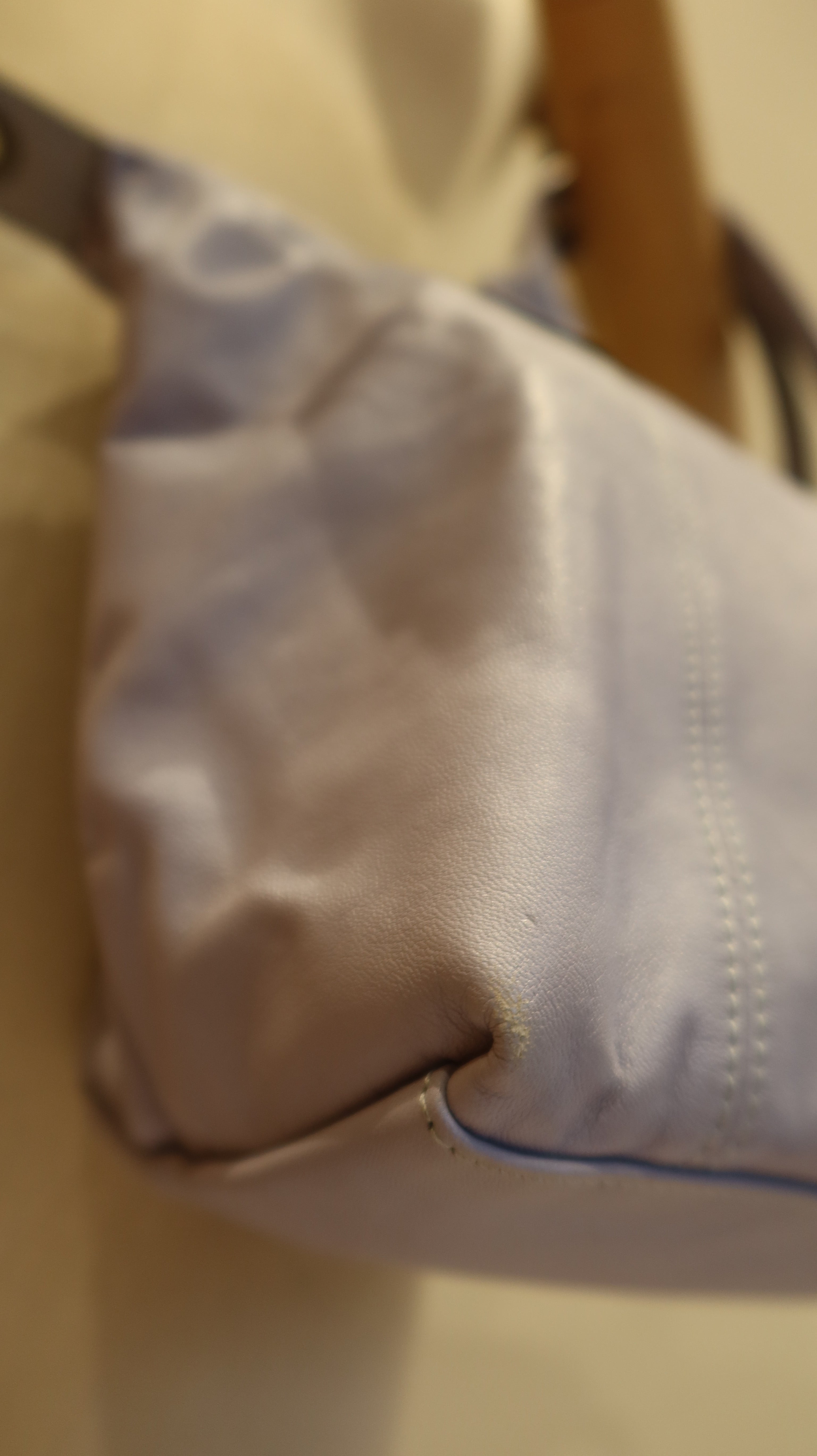 Longchamp Le Pliage Cuir Handbag