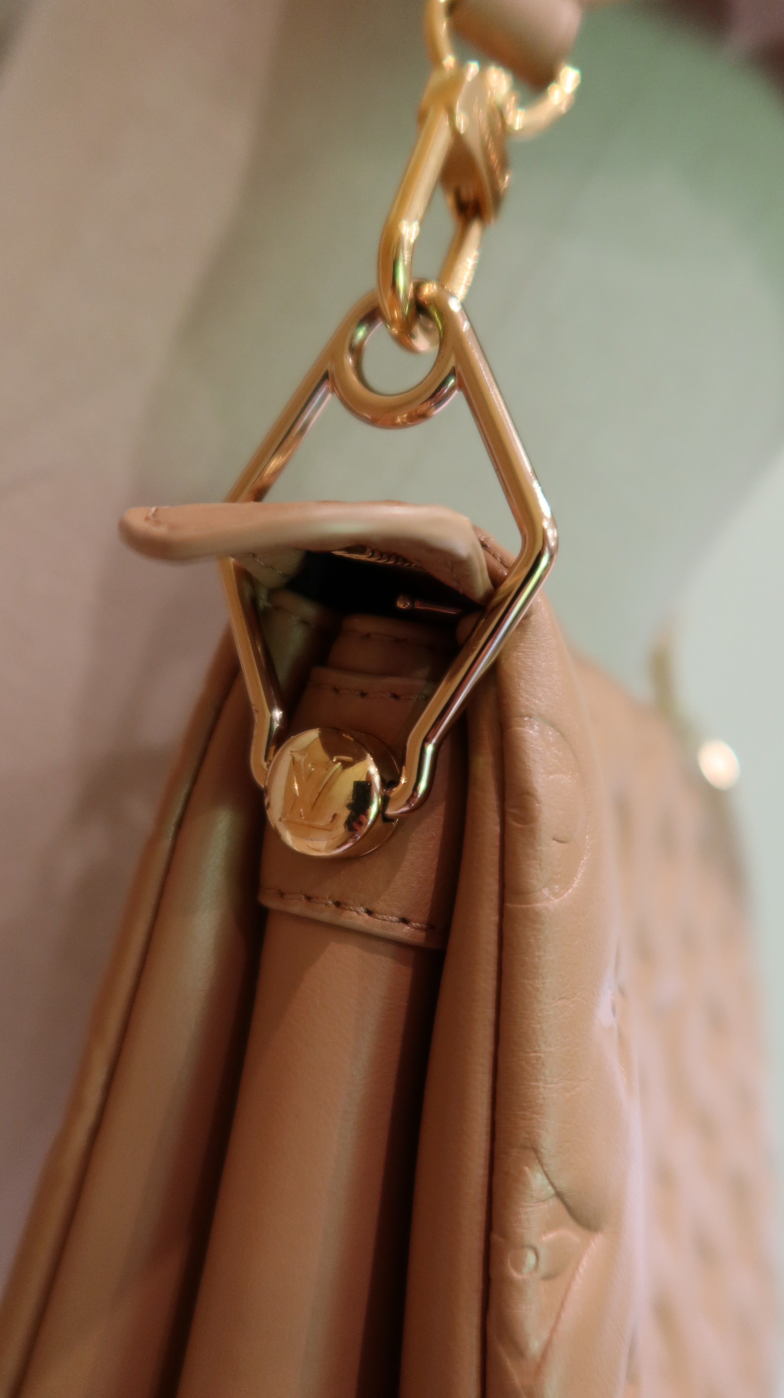 Louis Vuitton Coussin PM *Full Set*