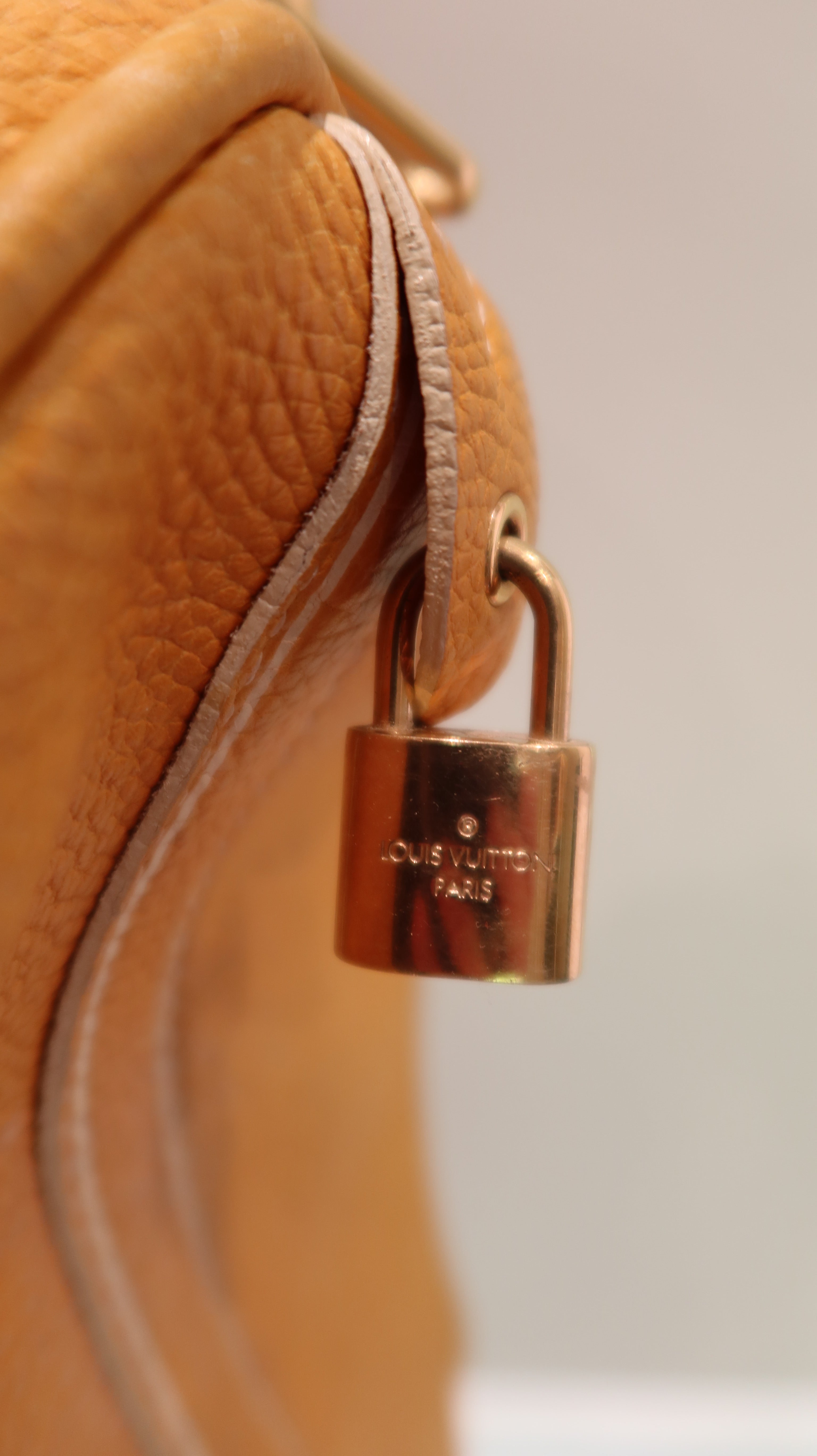 Louis Vuitton Boston Bag 50