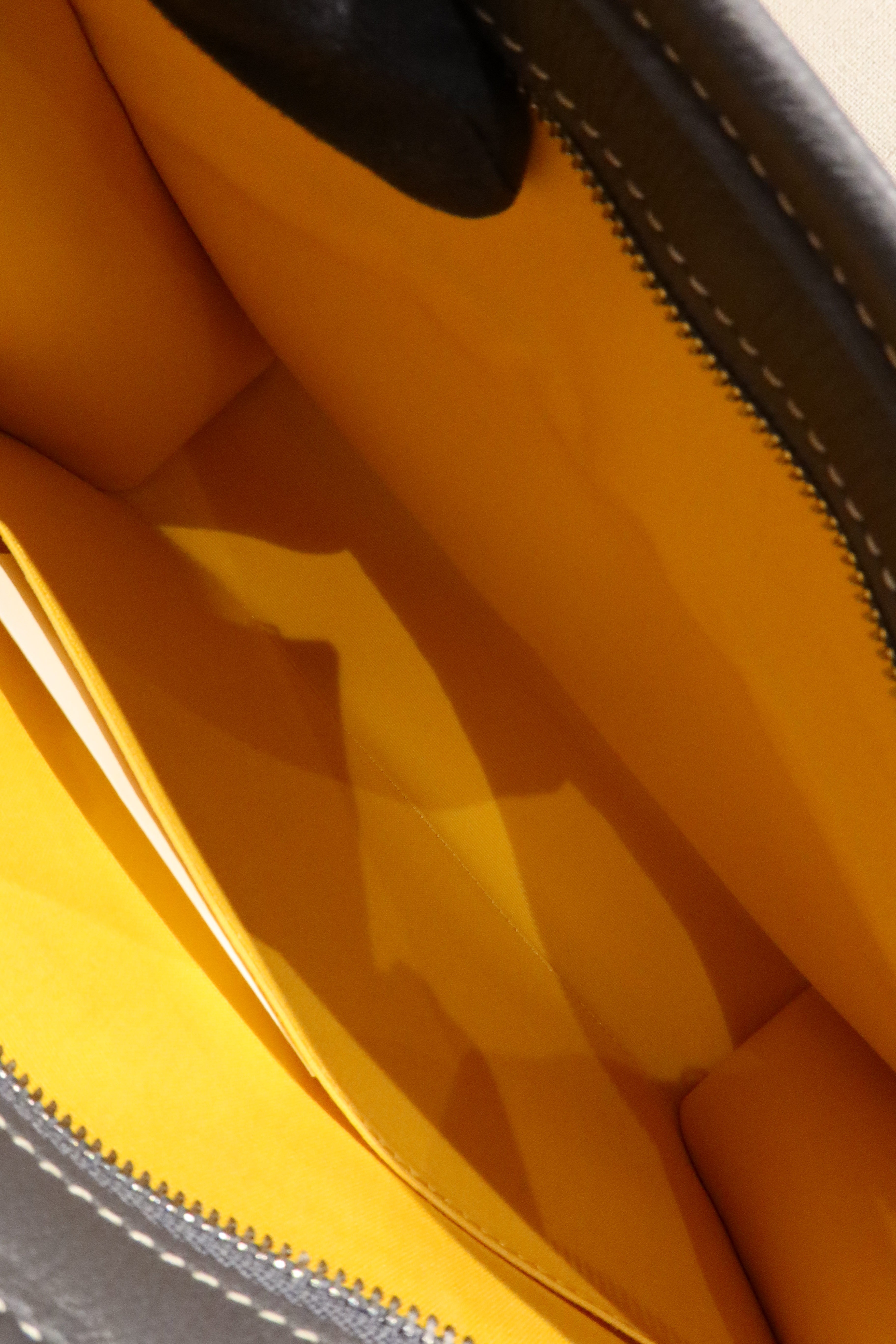 Goyard Jouvence Toiletry Bag