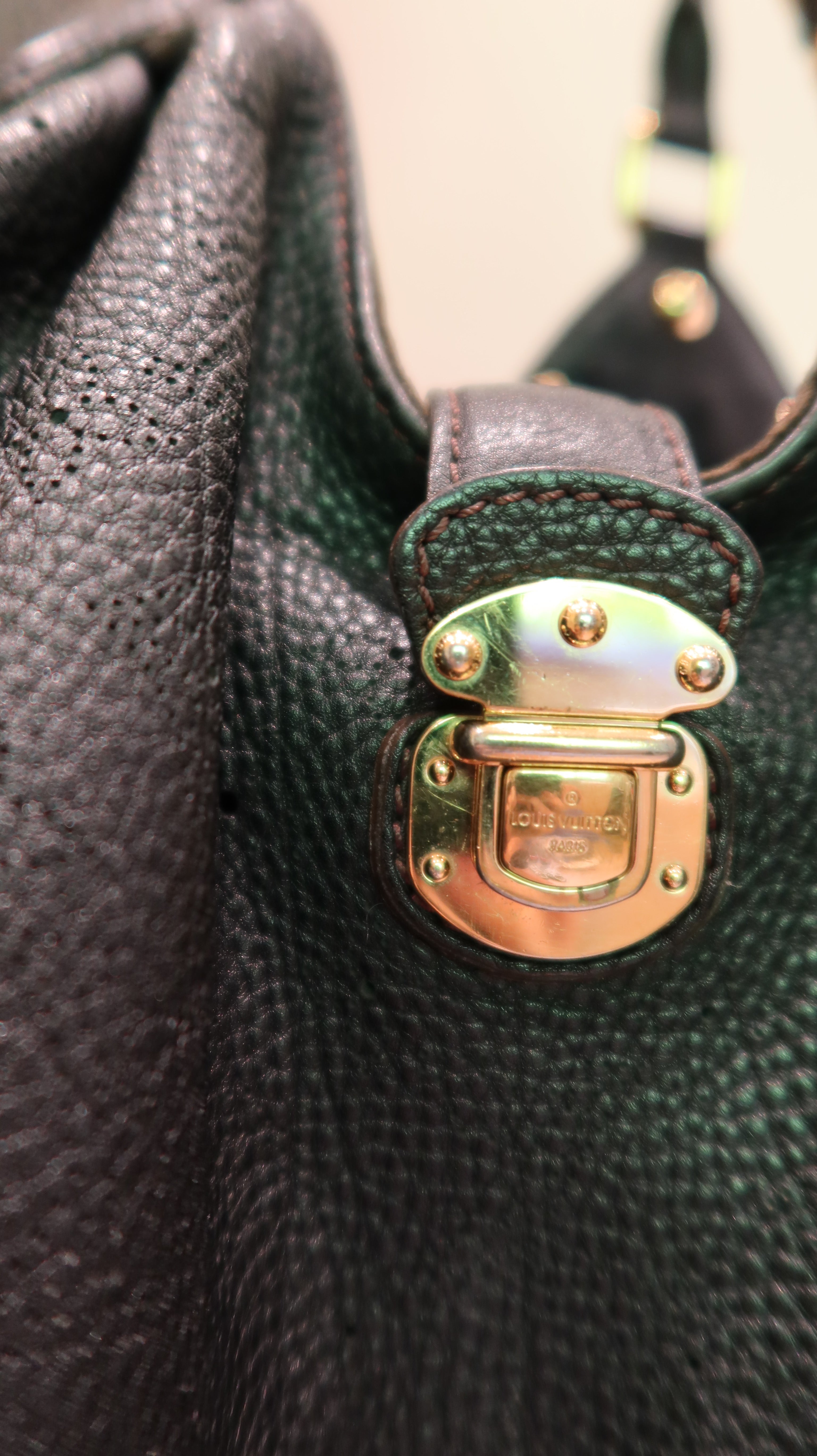 Louis Vuitton Hobo Bag