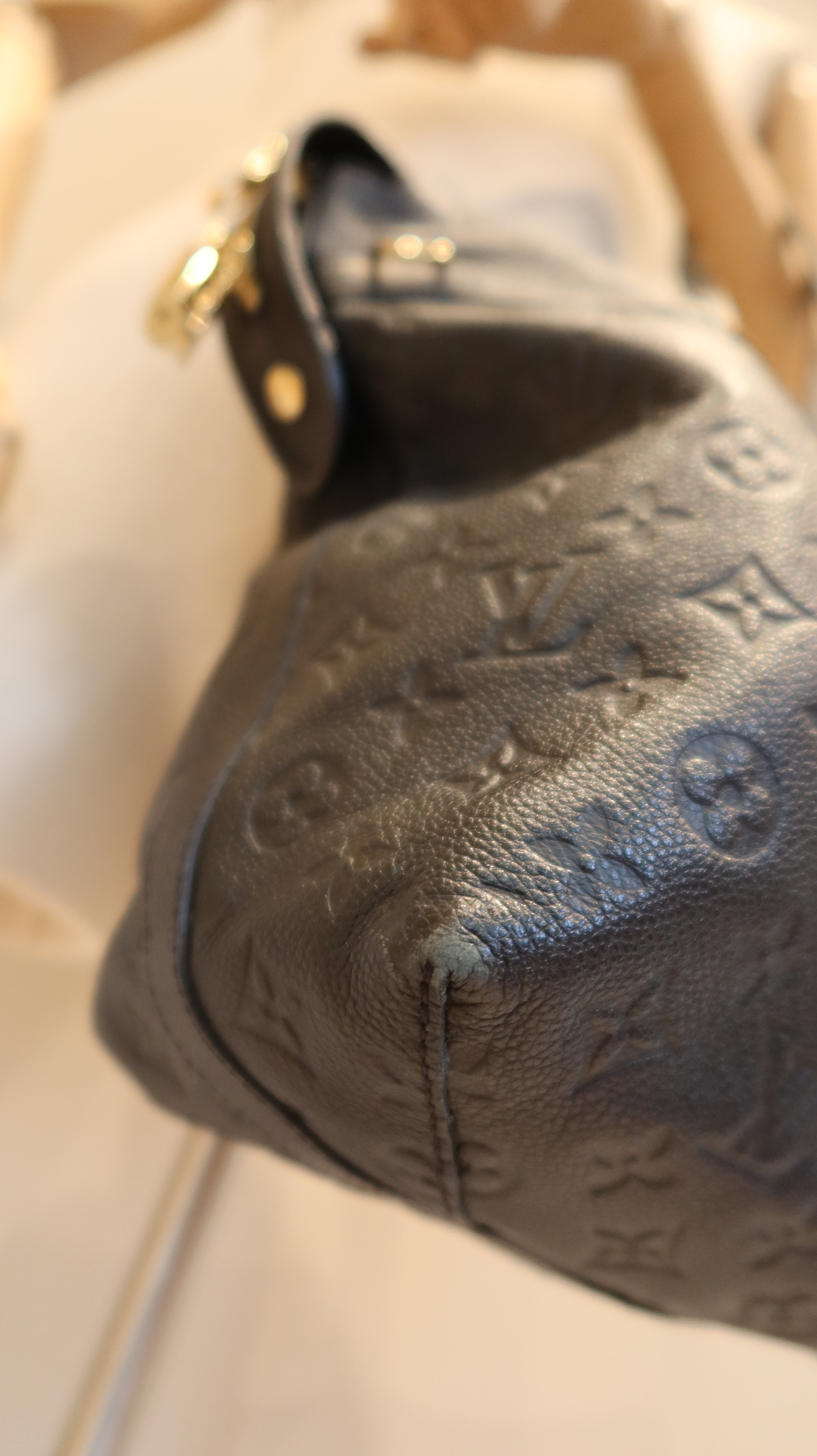 Louis Vuitton Bastille PM Bag