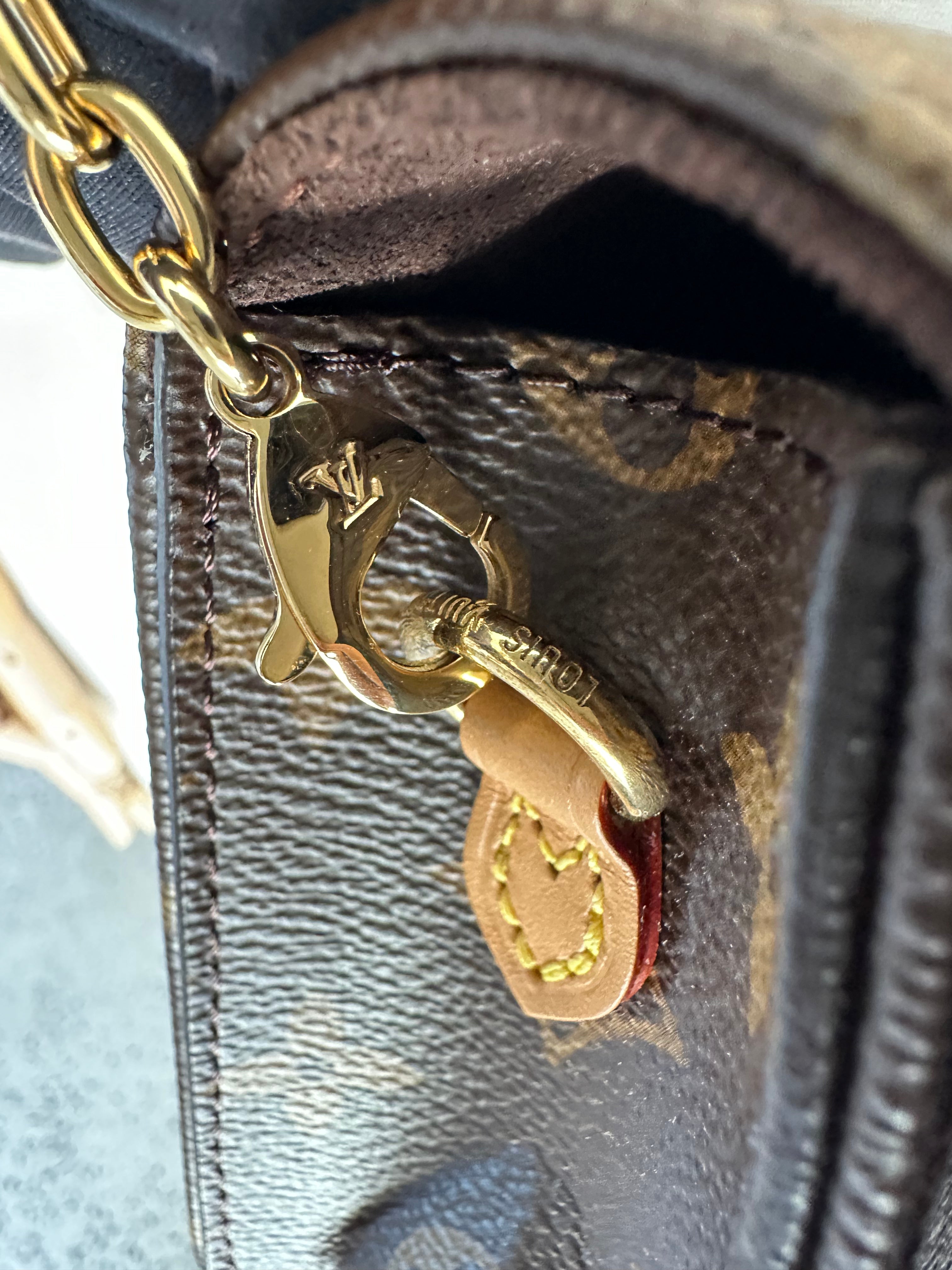 Louis Vuitton Lily Wallet On Chain Bag