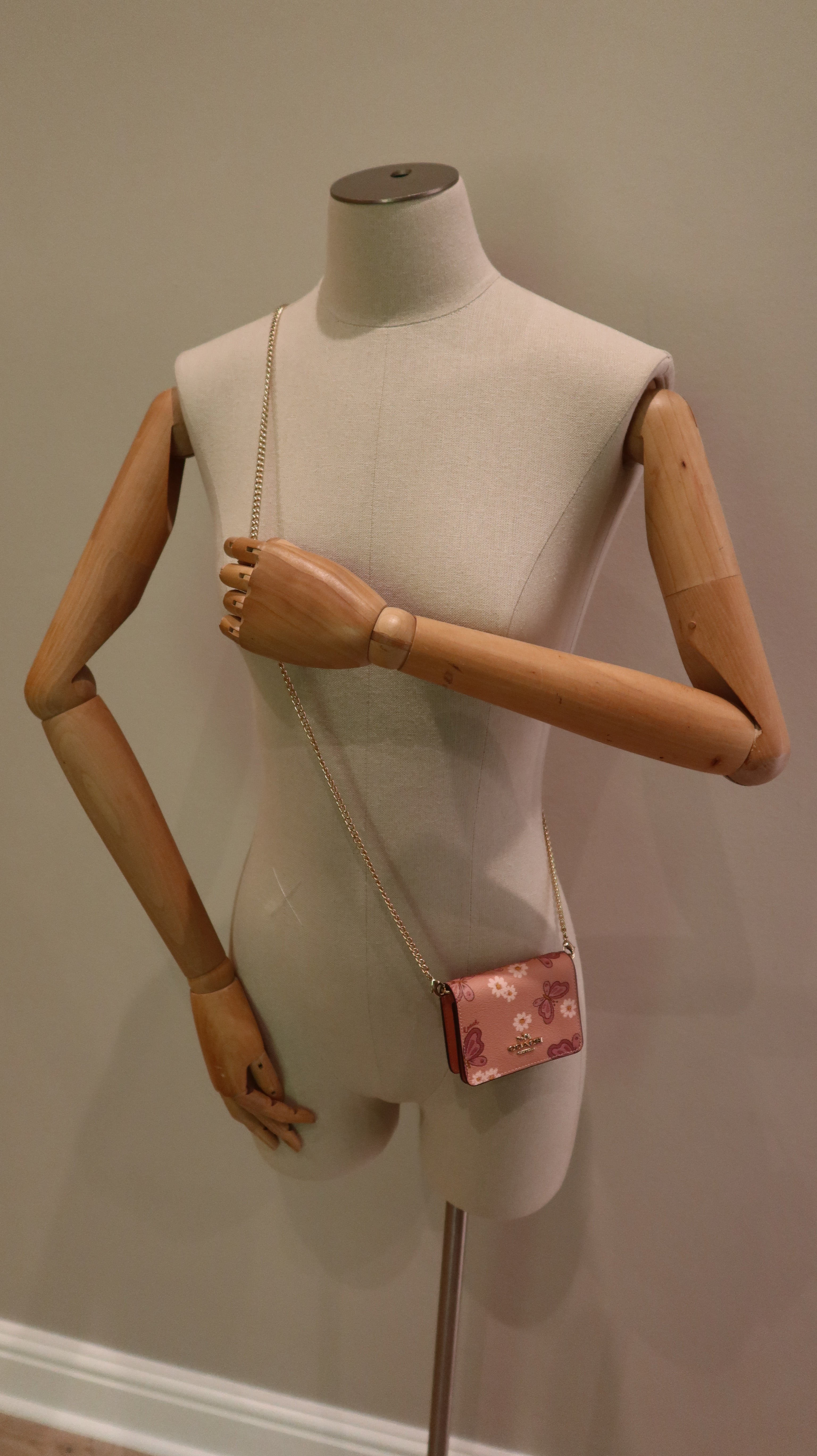 Coach Mini Wallet on Chain