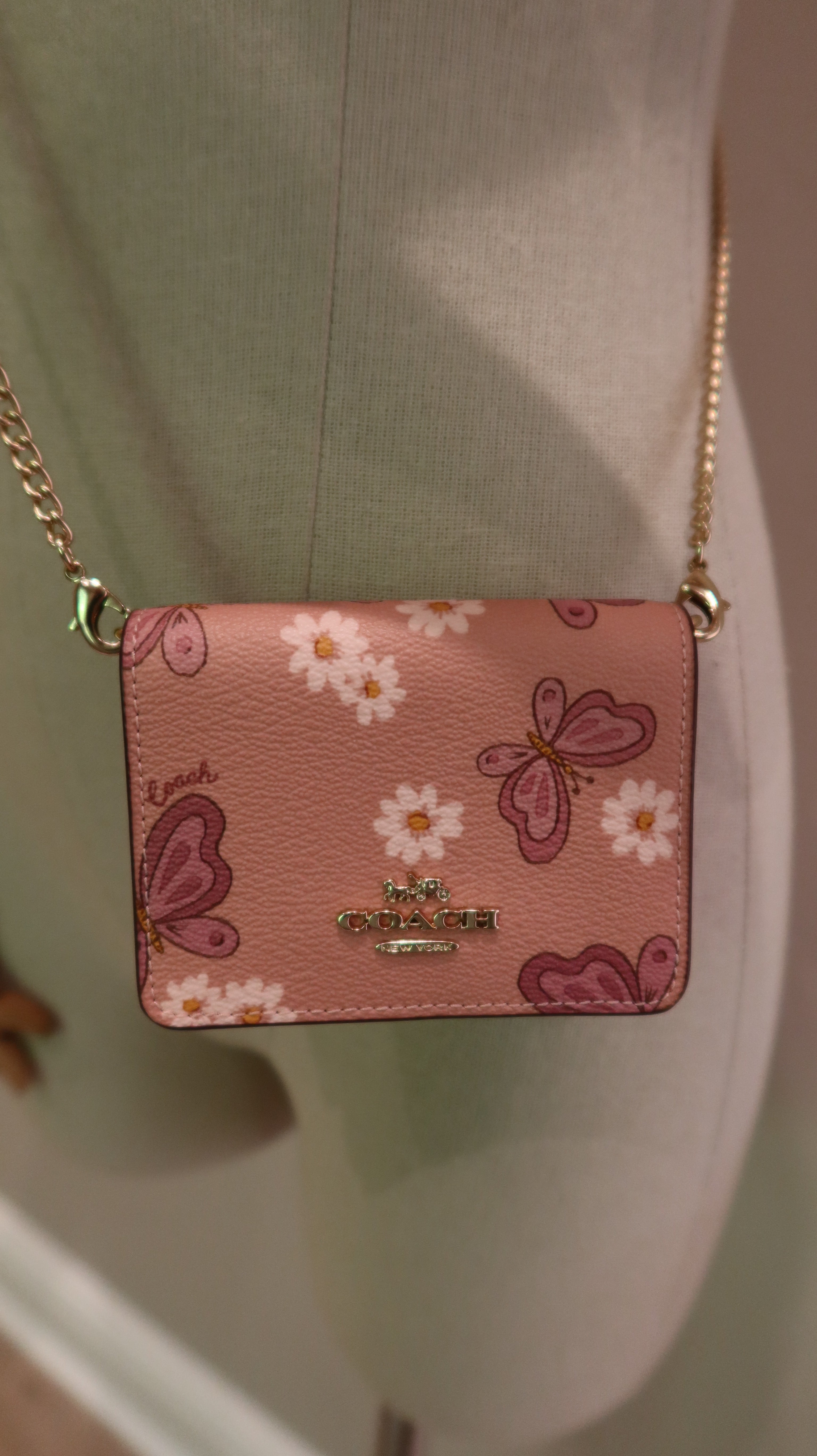 Coach Mini Wallet on Chain