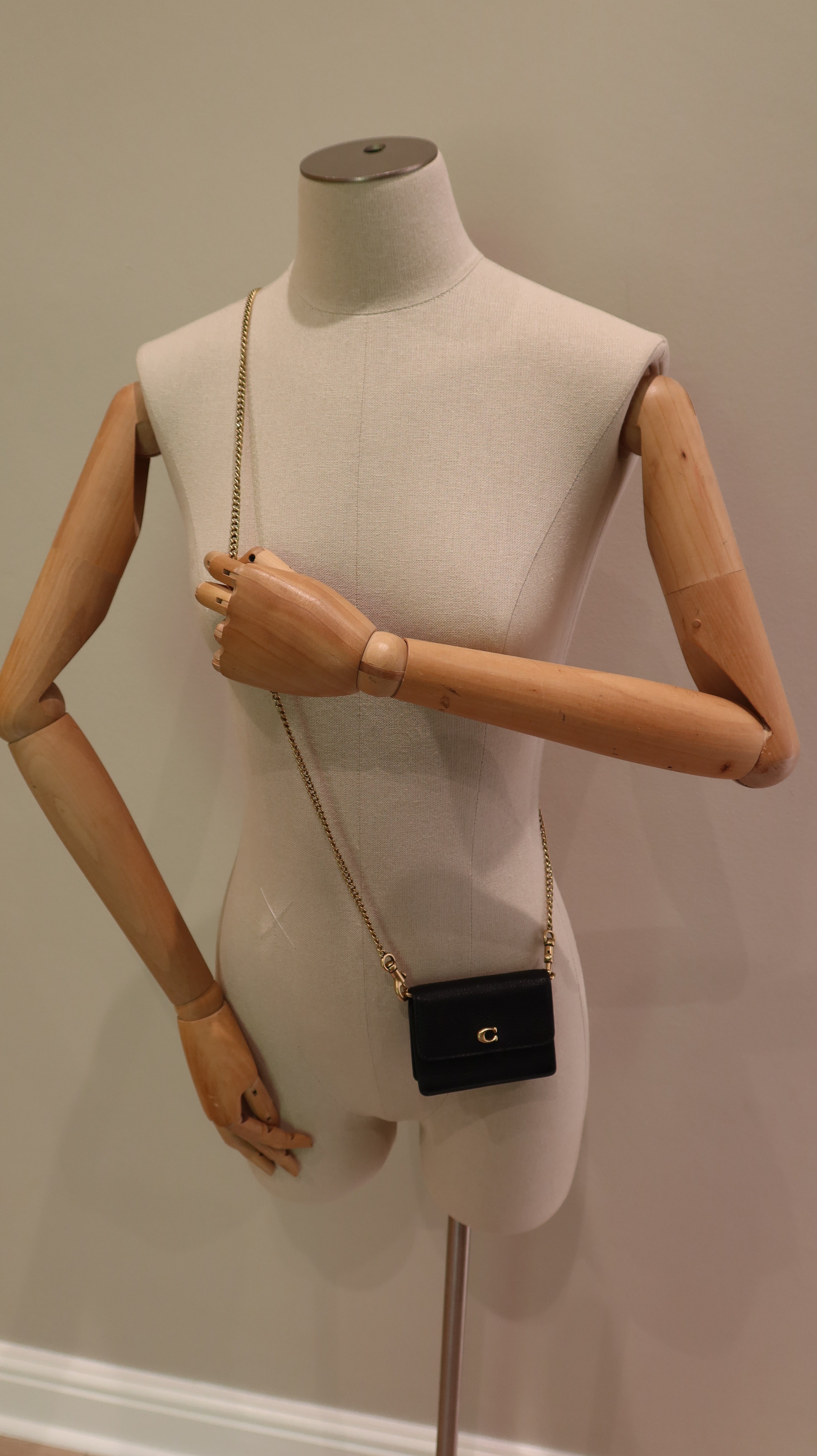 Coach Mini Wallet on Chain