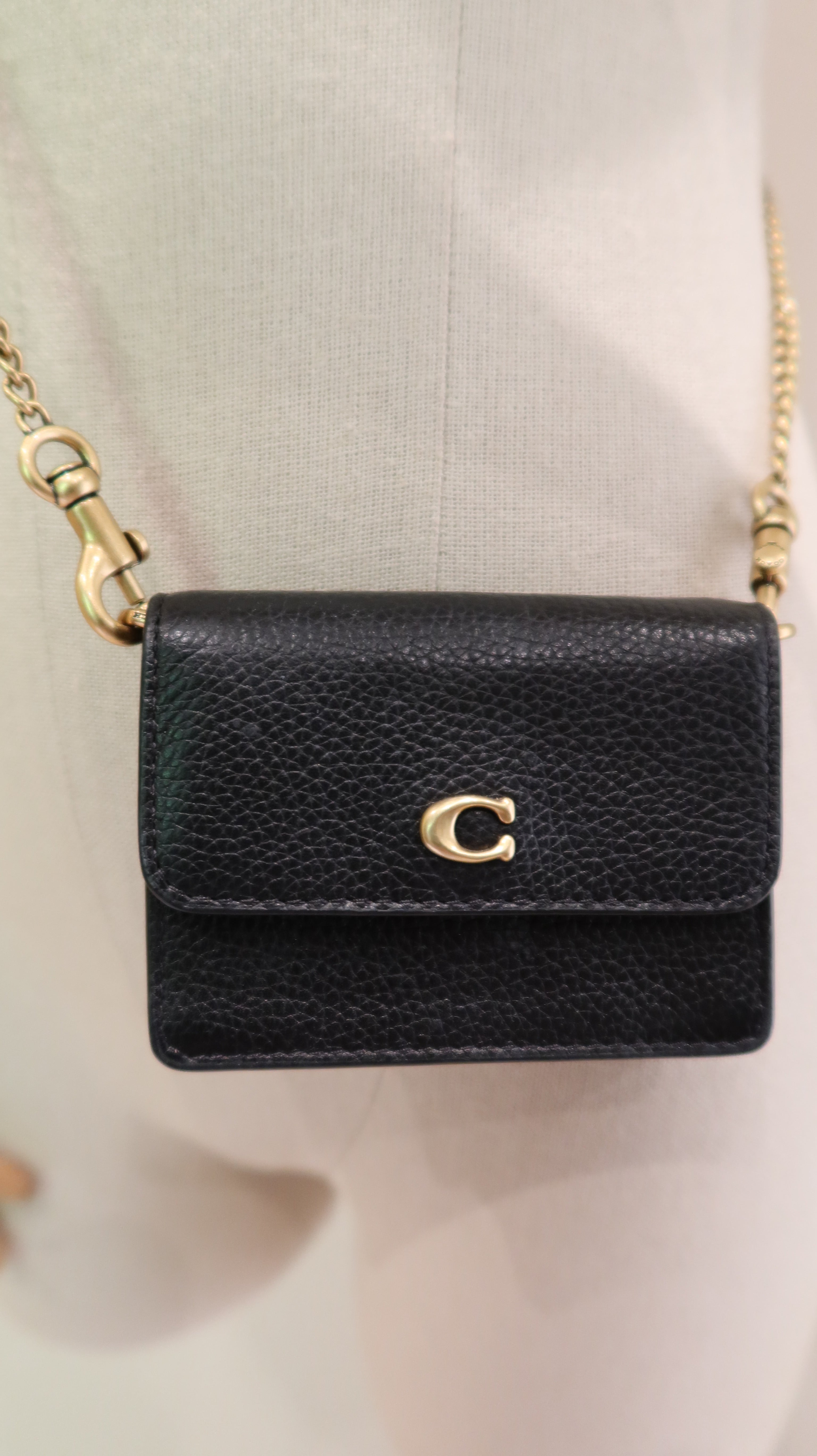 Coach Mini Wallet on Chain