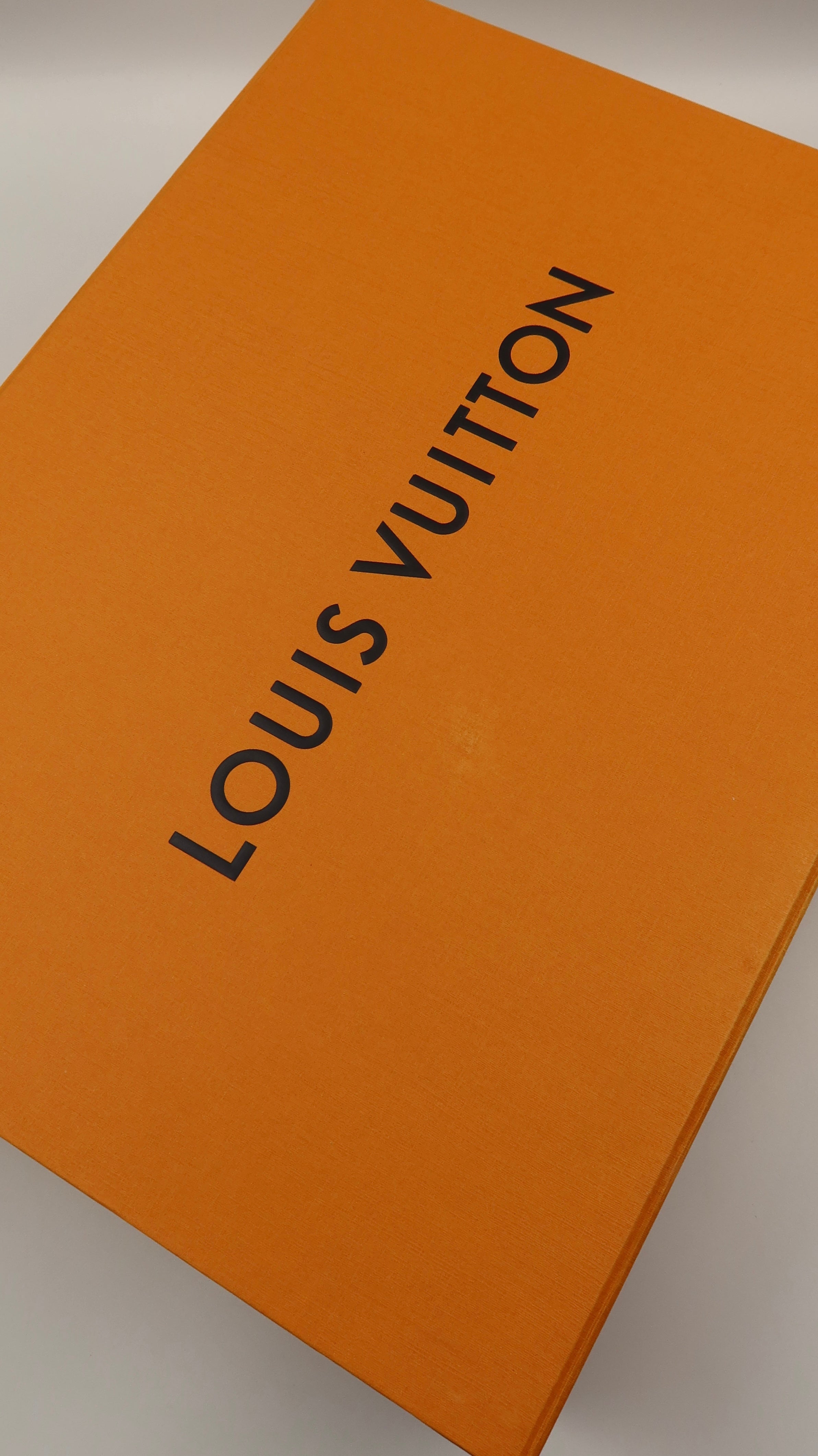 Louis Vuitton Vavin PM Bag