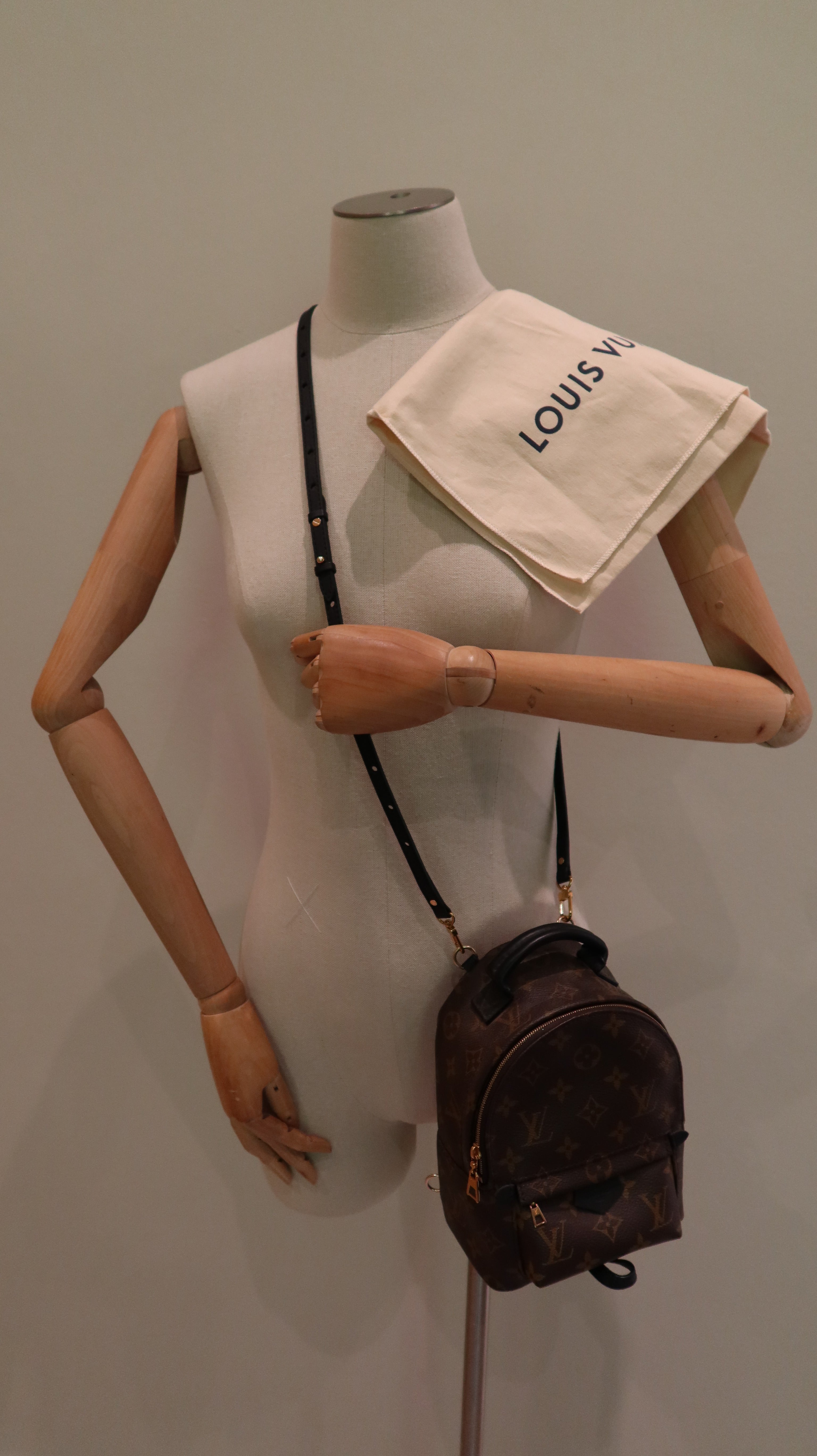 Louis Vuitton Palm Springs Mini *Full Set*