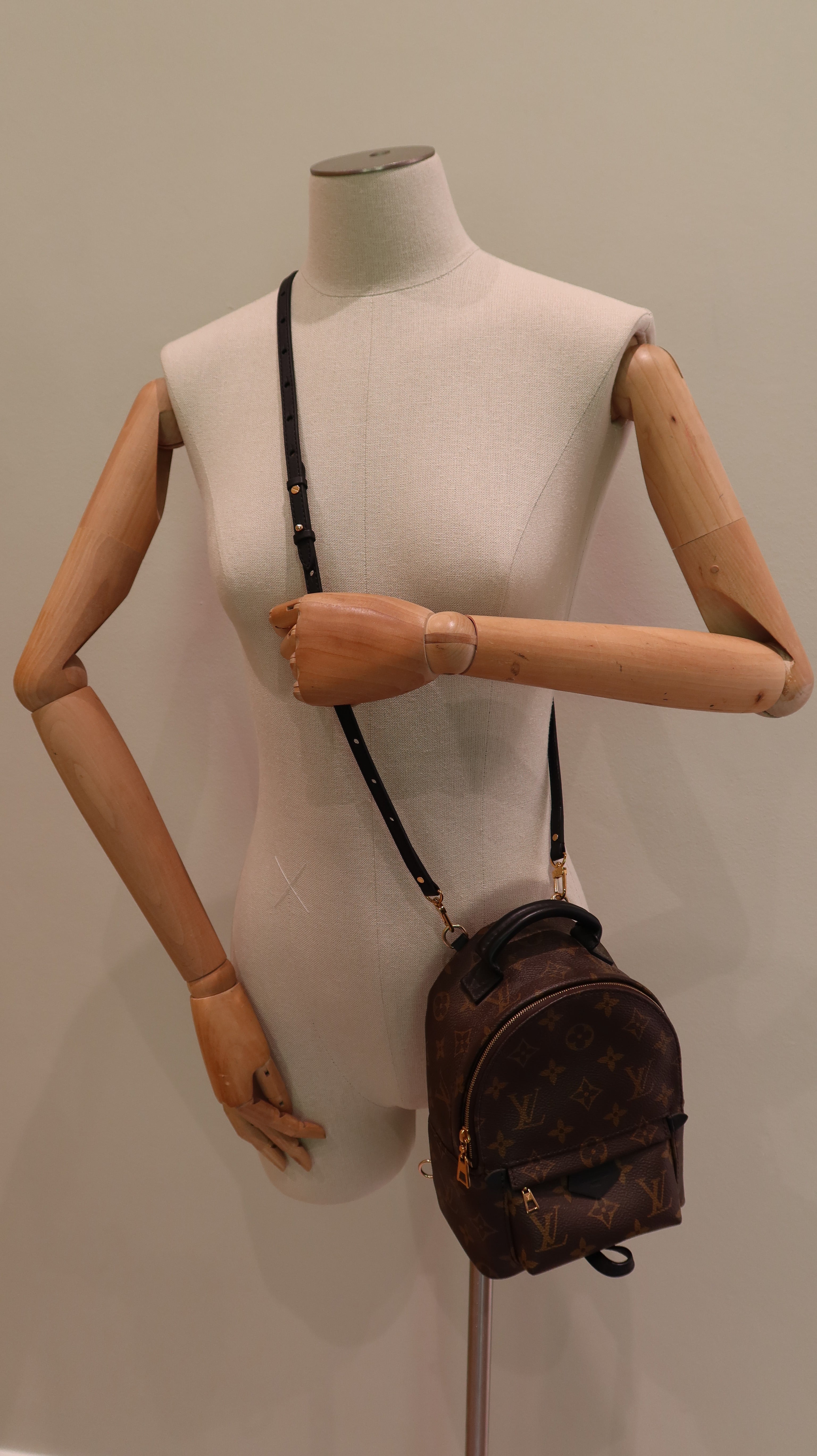 Louis Vuitton Palm Springs Mini *Full Set*