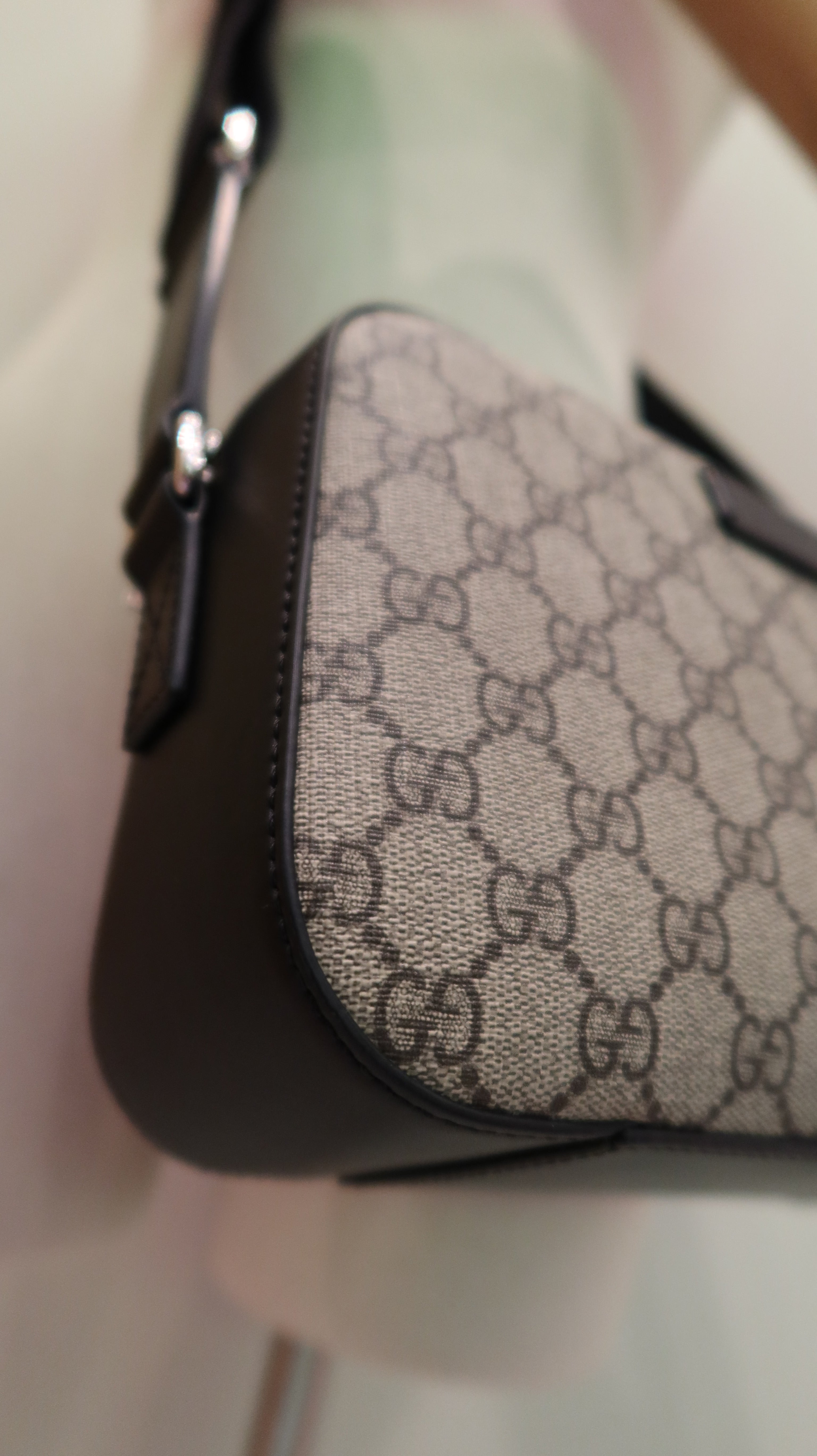 Gucci Supreme Camera Bag