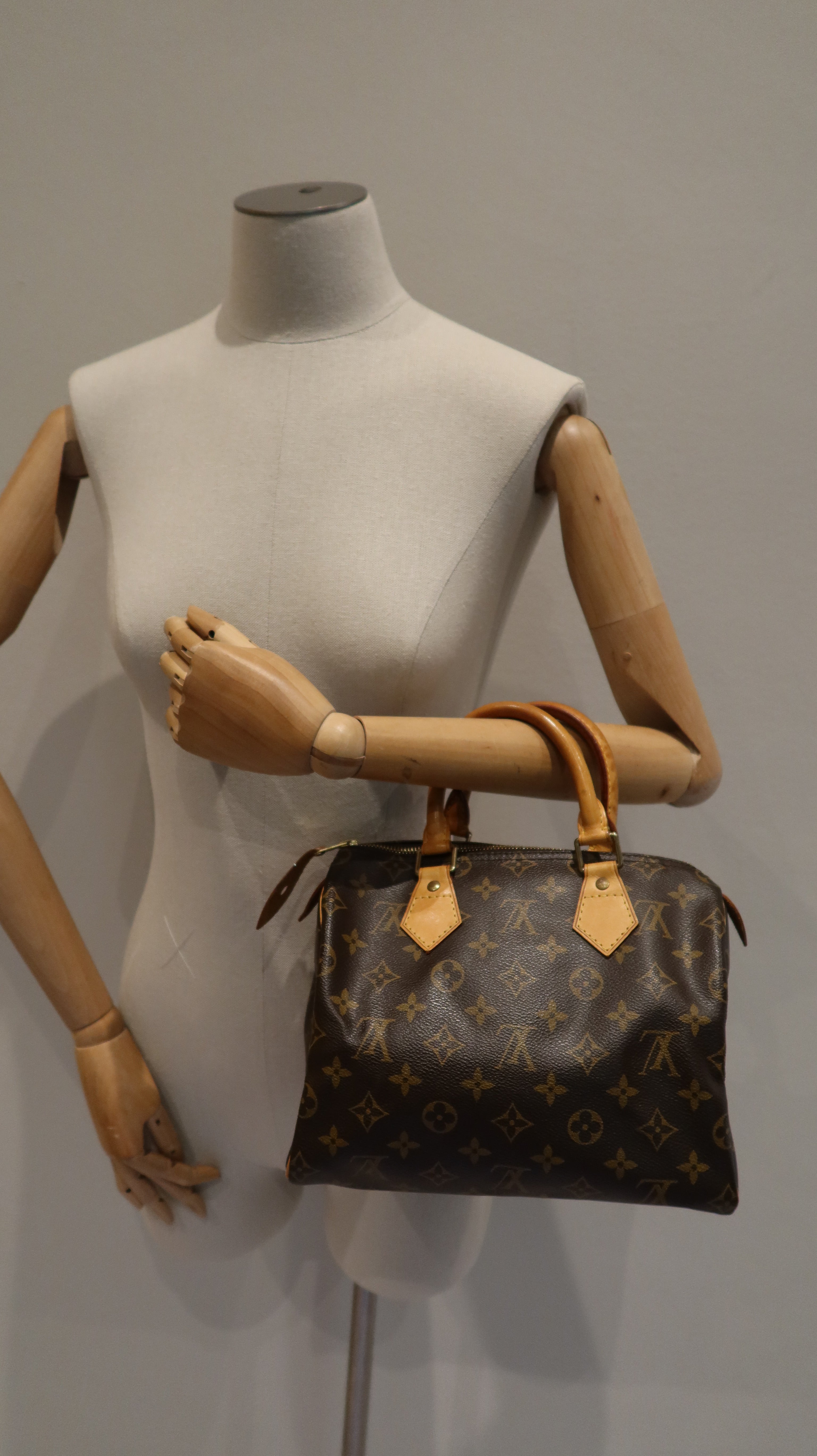 Louis Vuitton Speedy 25