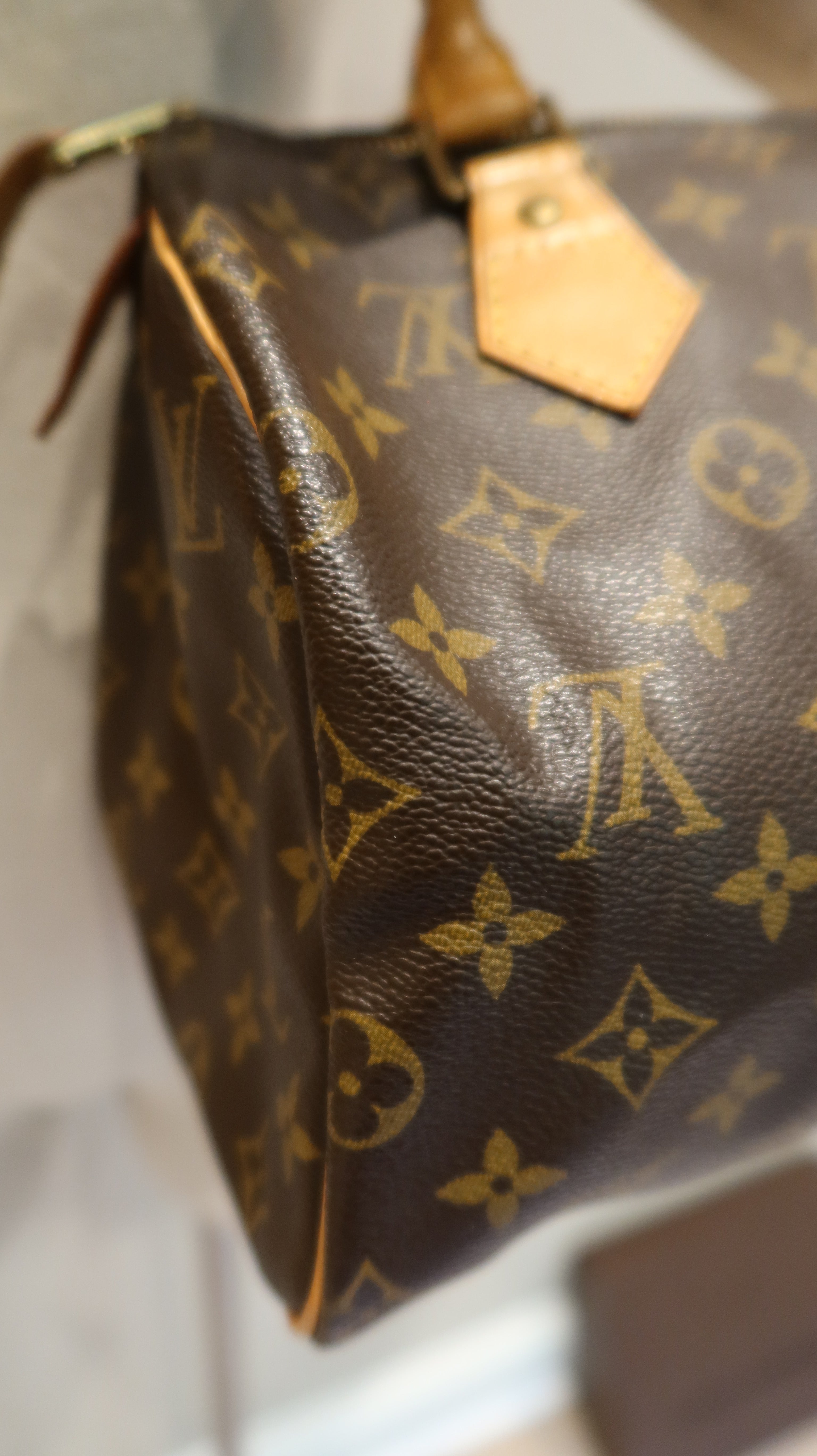 Louis Vuitton Speedy 25
