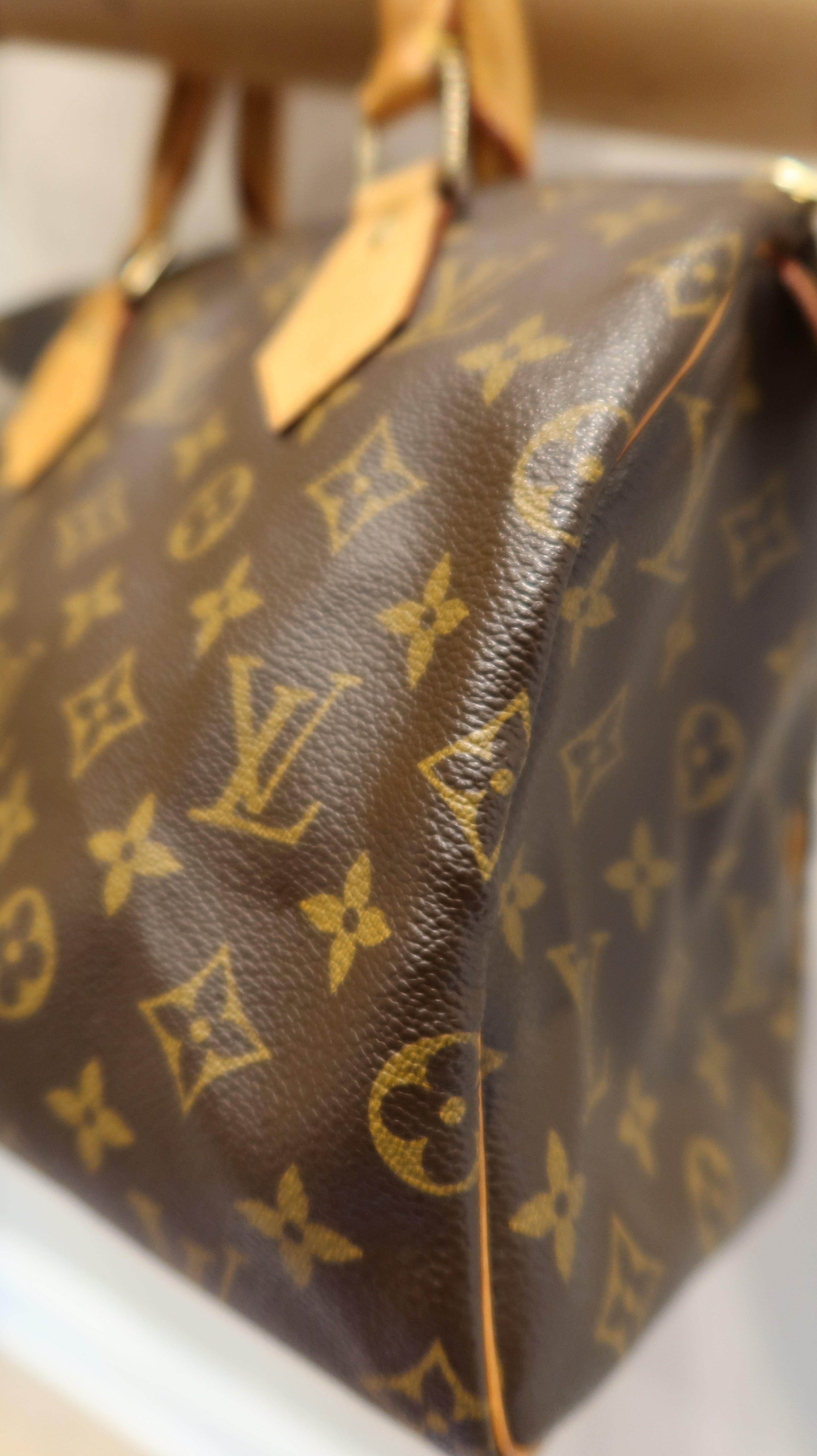 Louis Vuitton Speedy 25