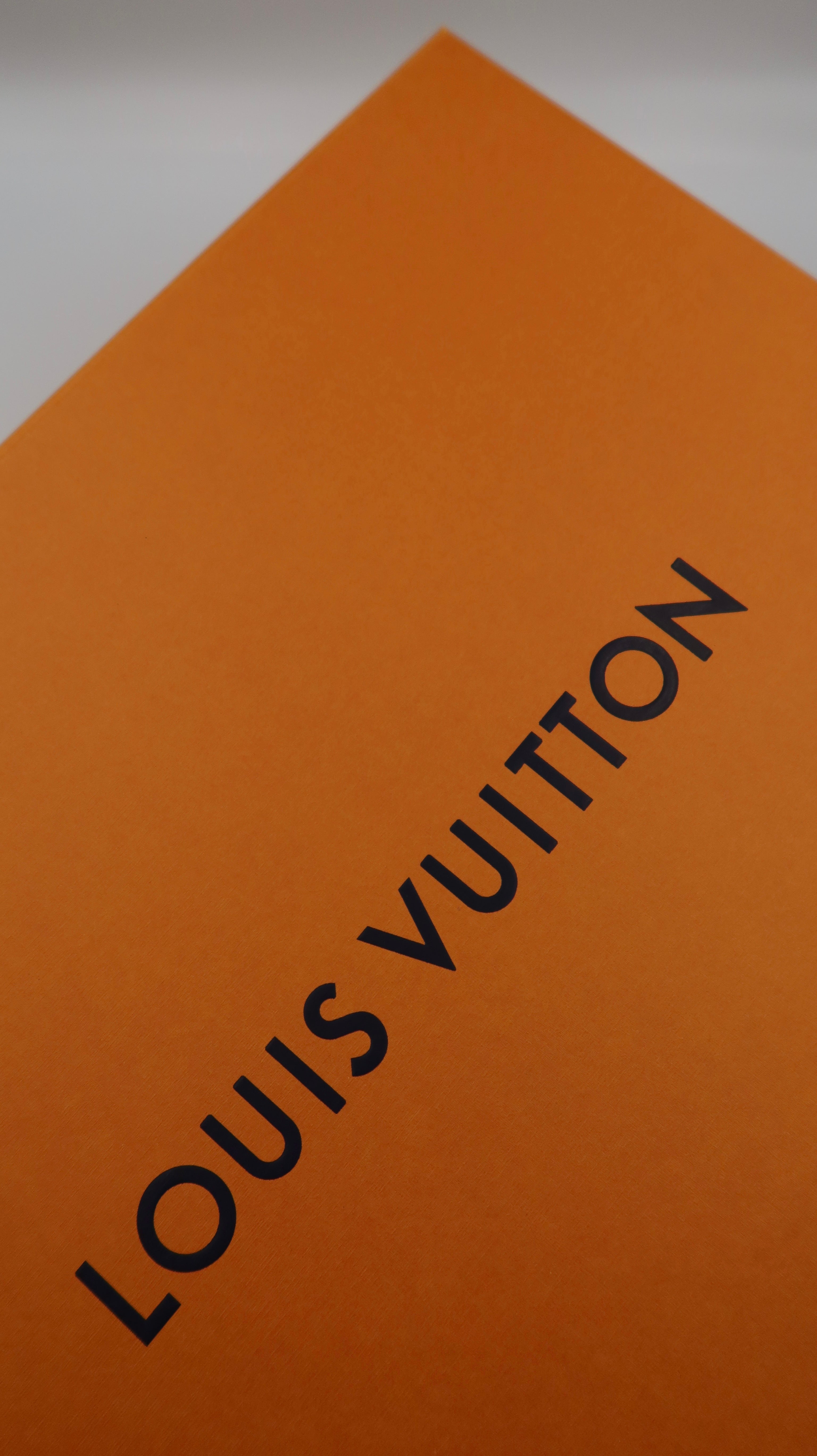 Louis Vuitton Carmel Hobo Bag