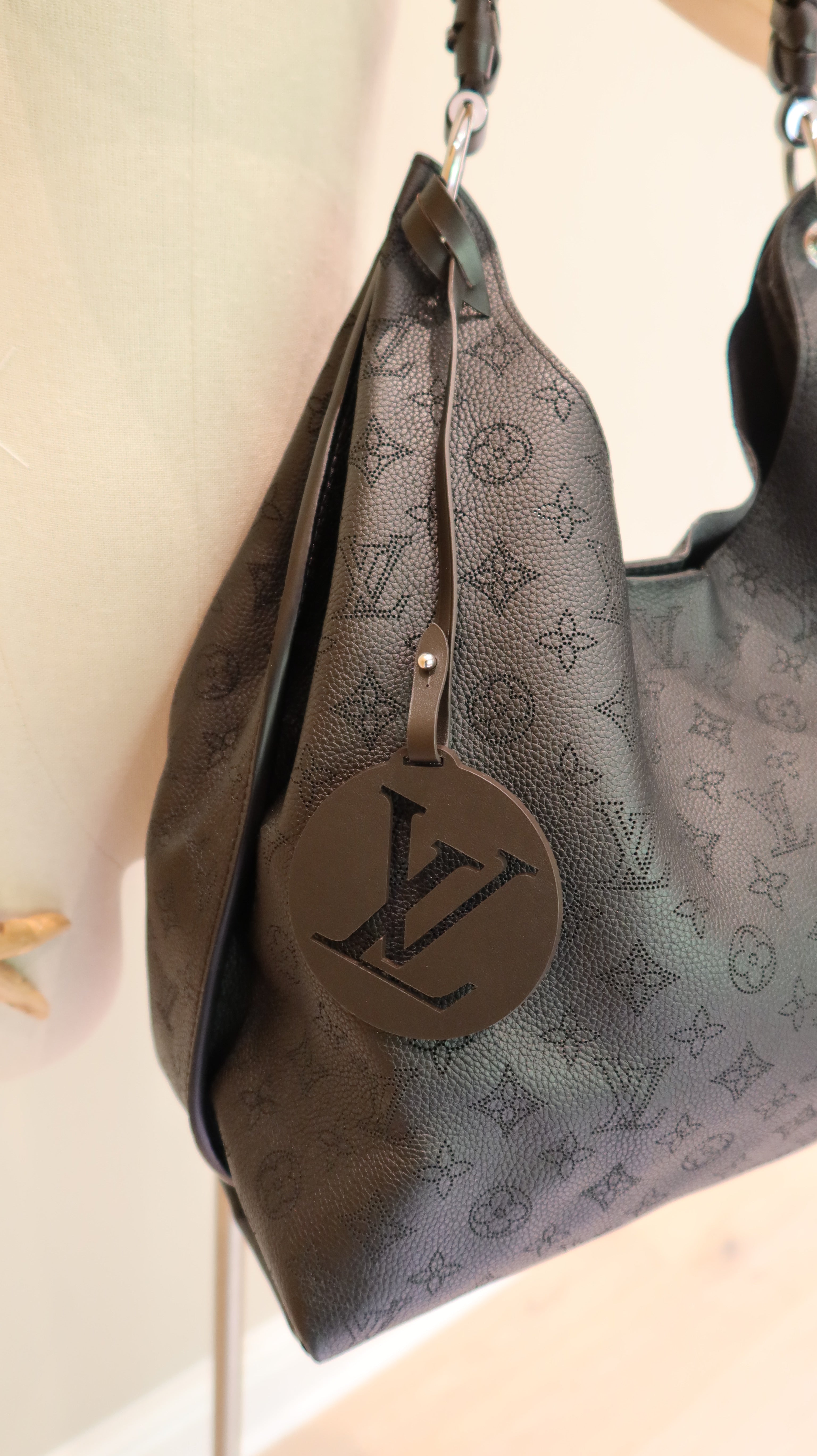 Louis Vuitton Carmel Hobo Bag