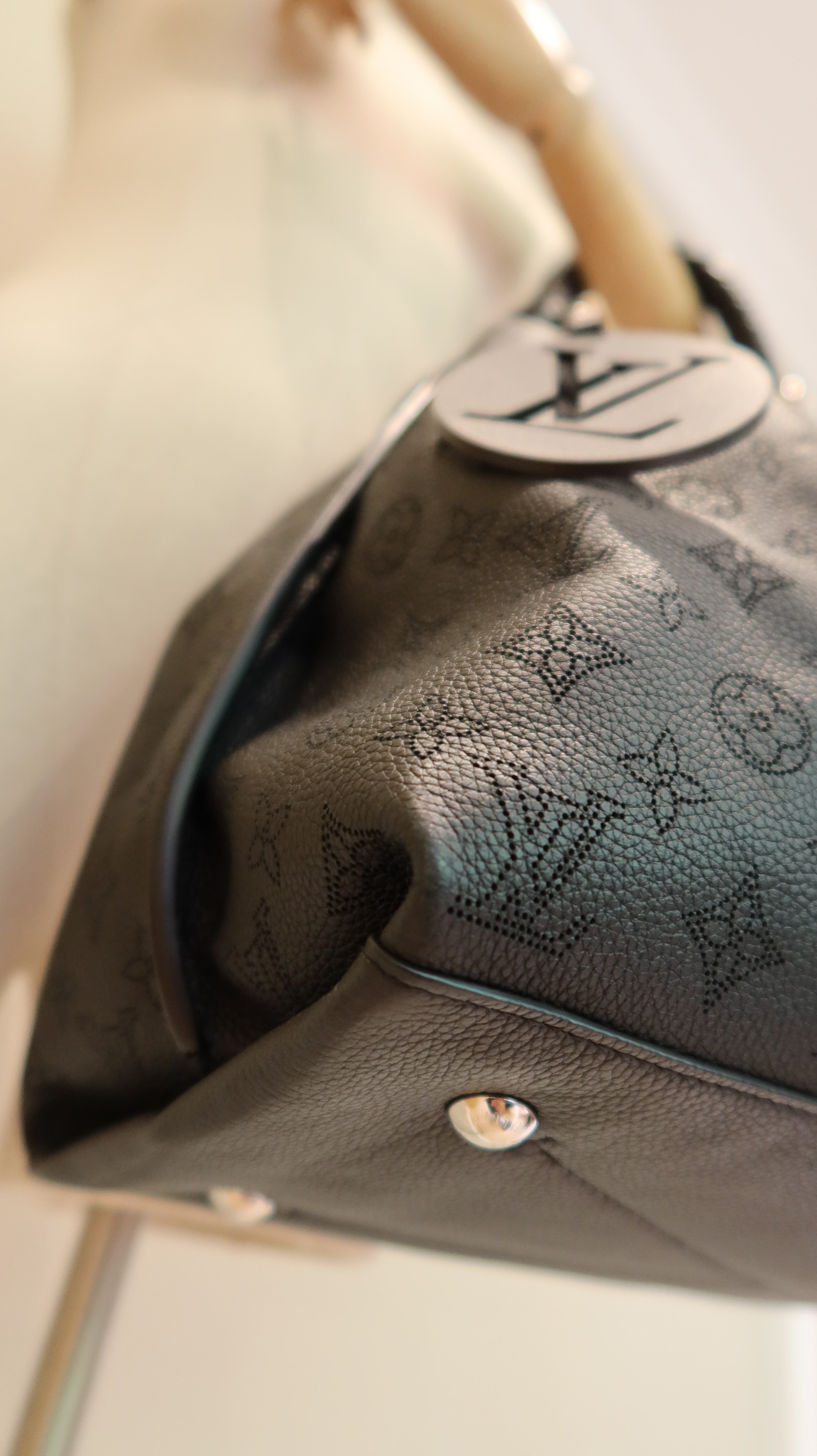 Louis Vuitton Carmel Hobo Bag