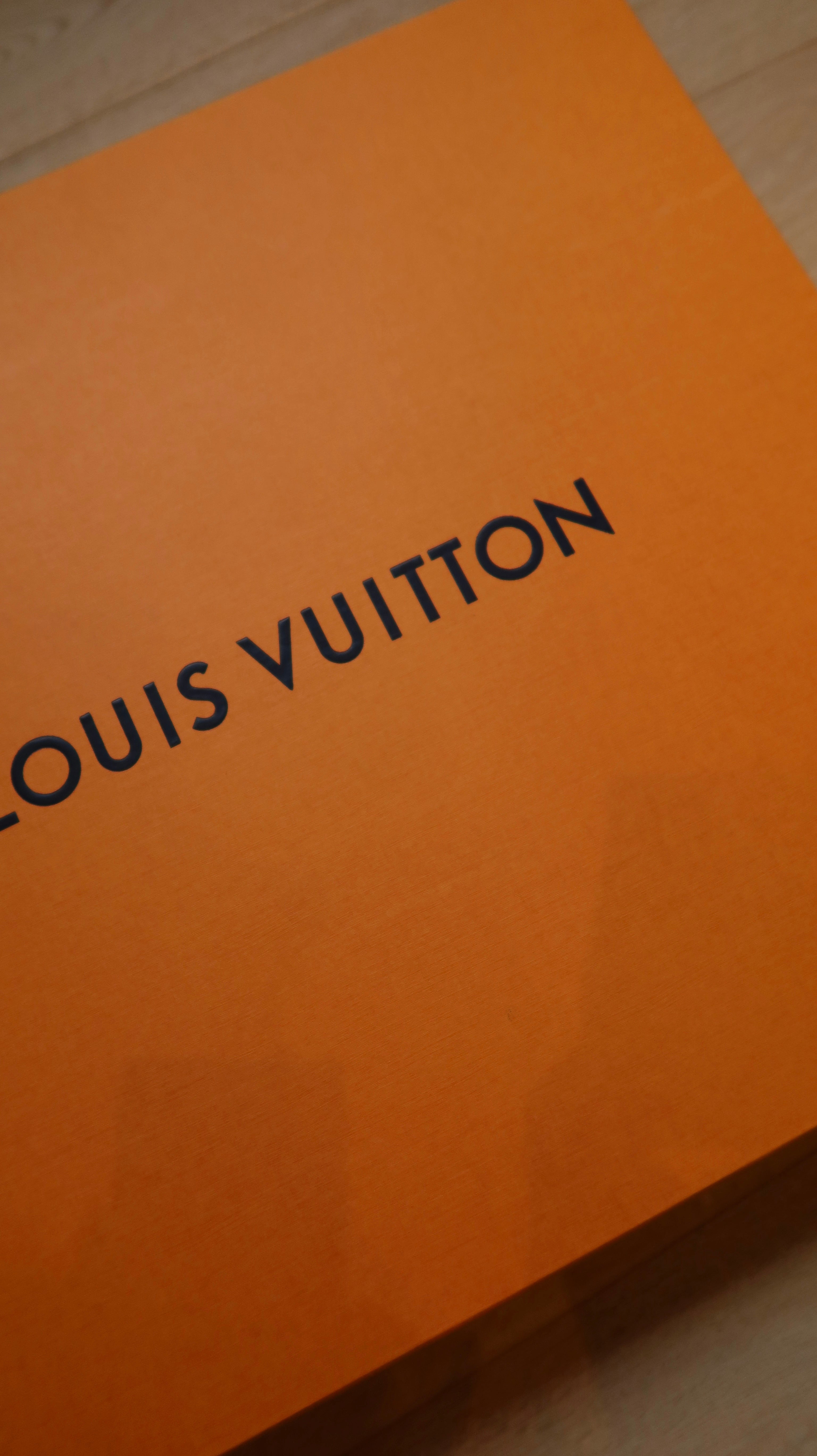 Louis Vuitton Custom Philip Karton Speedy
