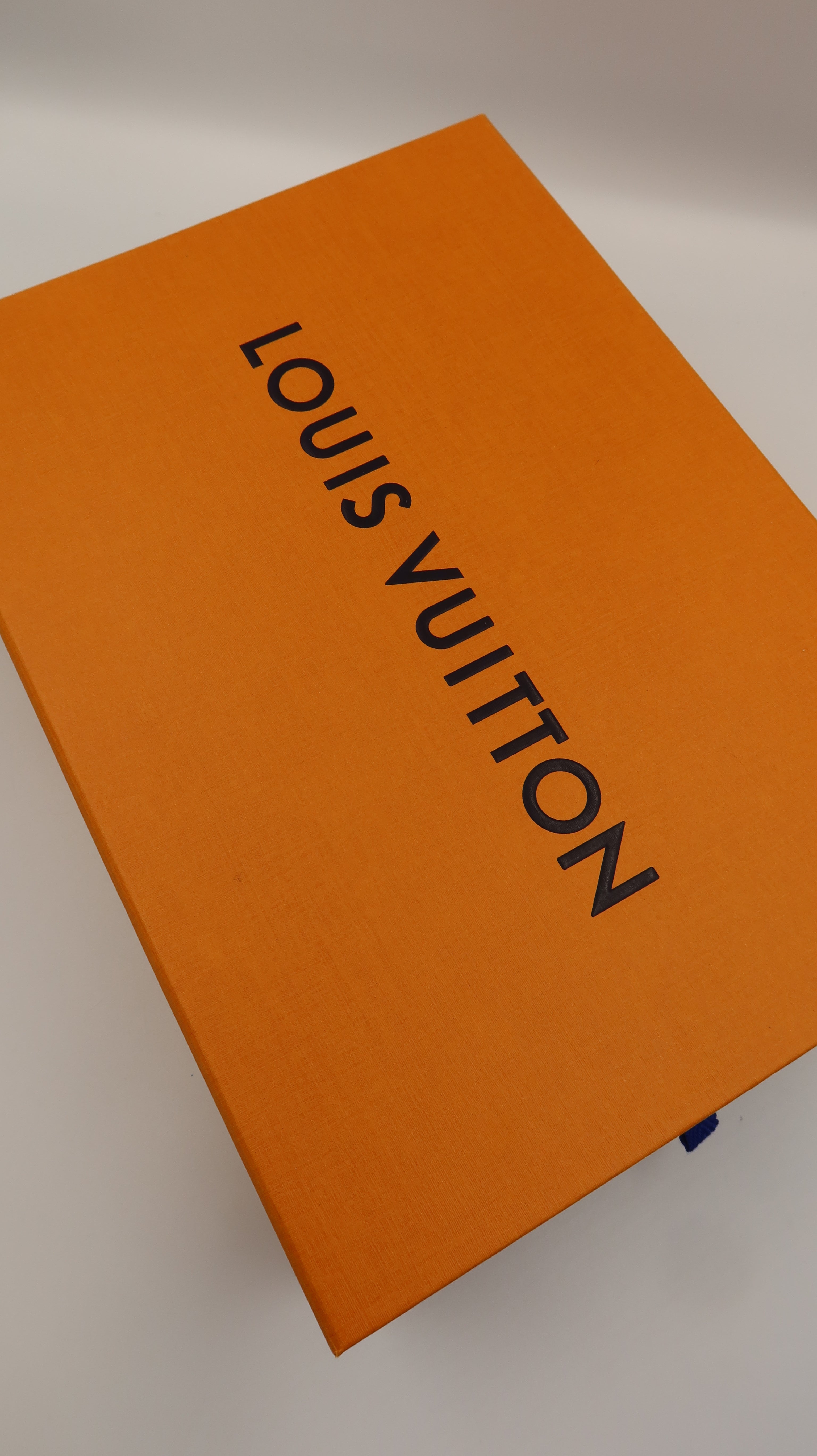Louis Vuitton Favourite Bag