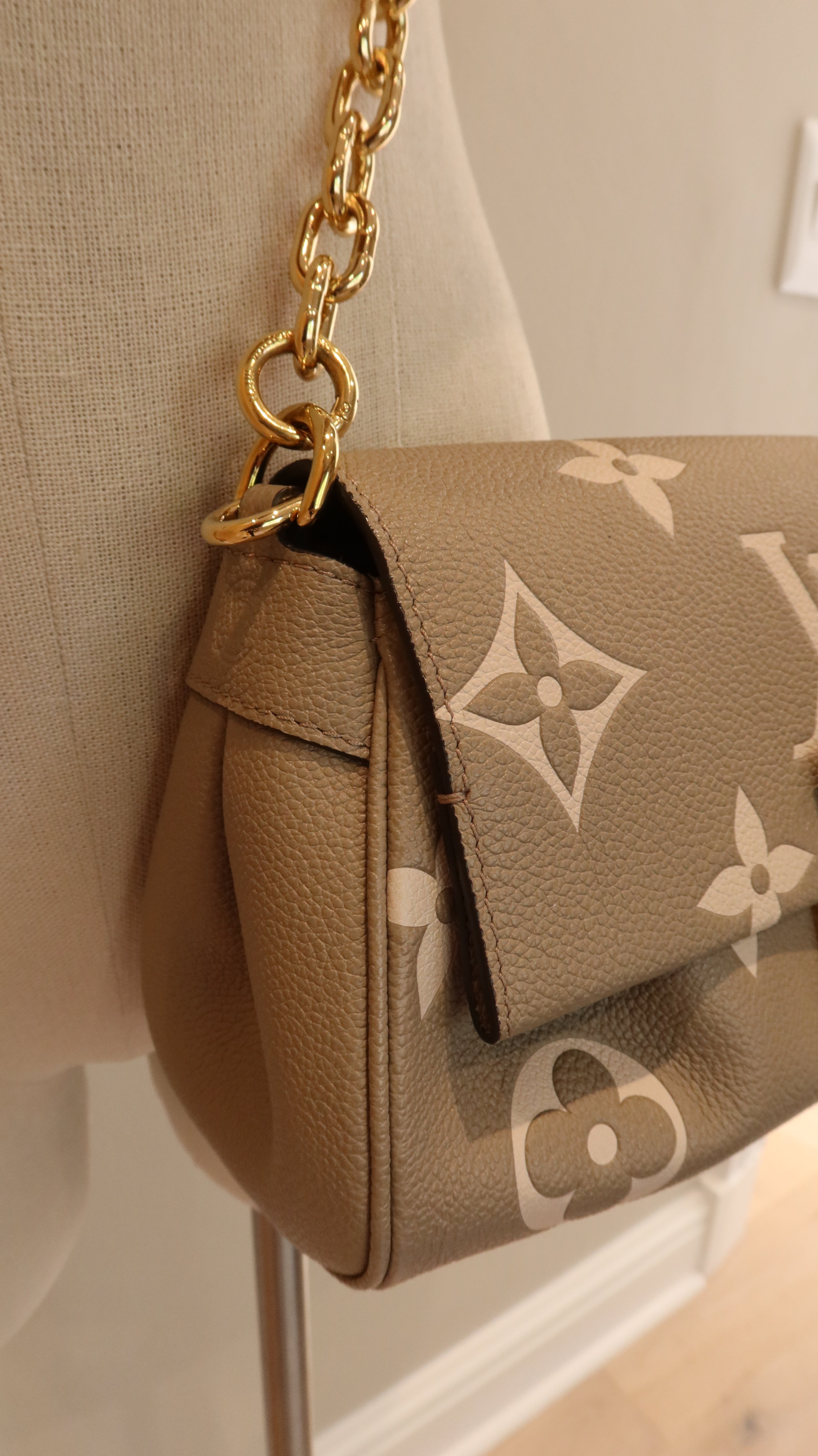 Louis Vuitton Favourite Bag