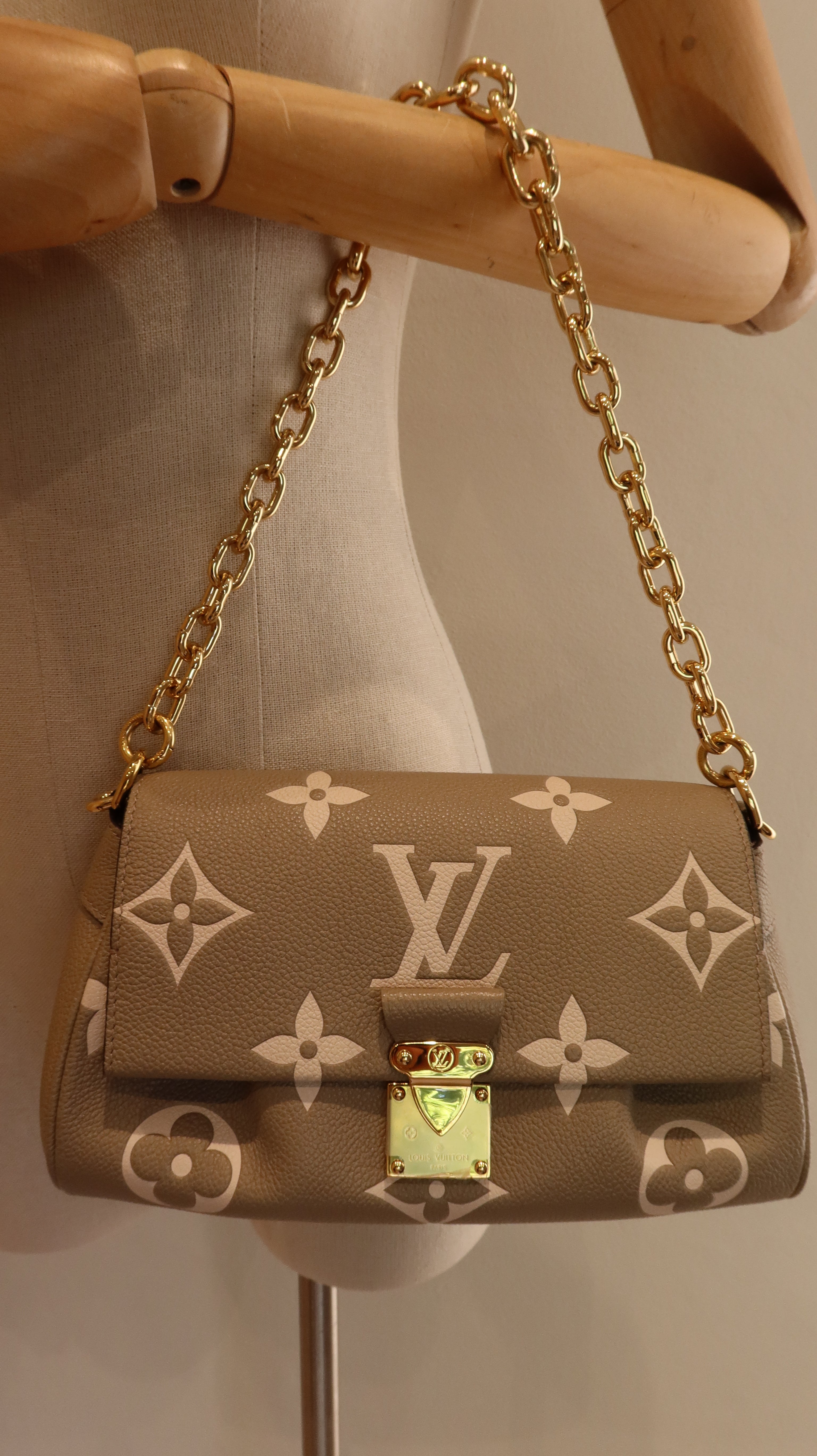 Louis Vuitton Favourite Bag