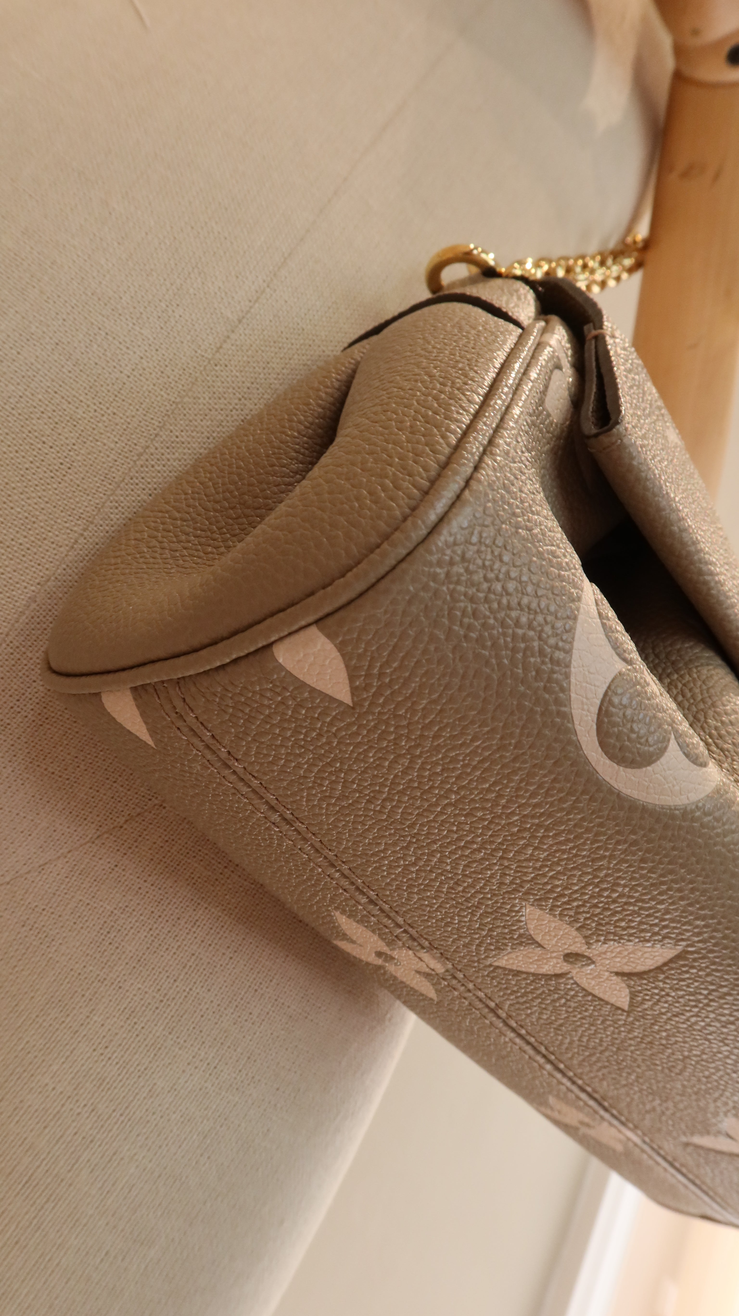 Louis Vuitton Favourite Bag