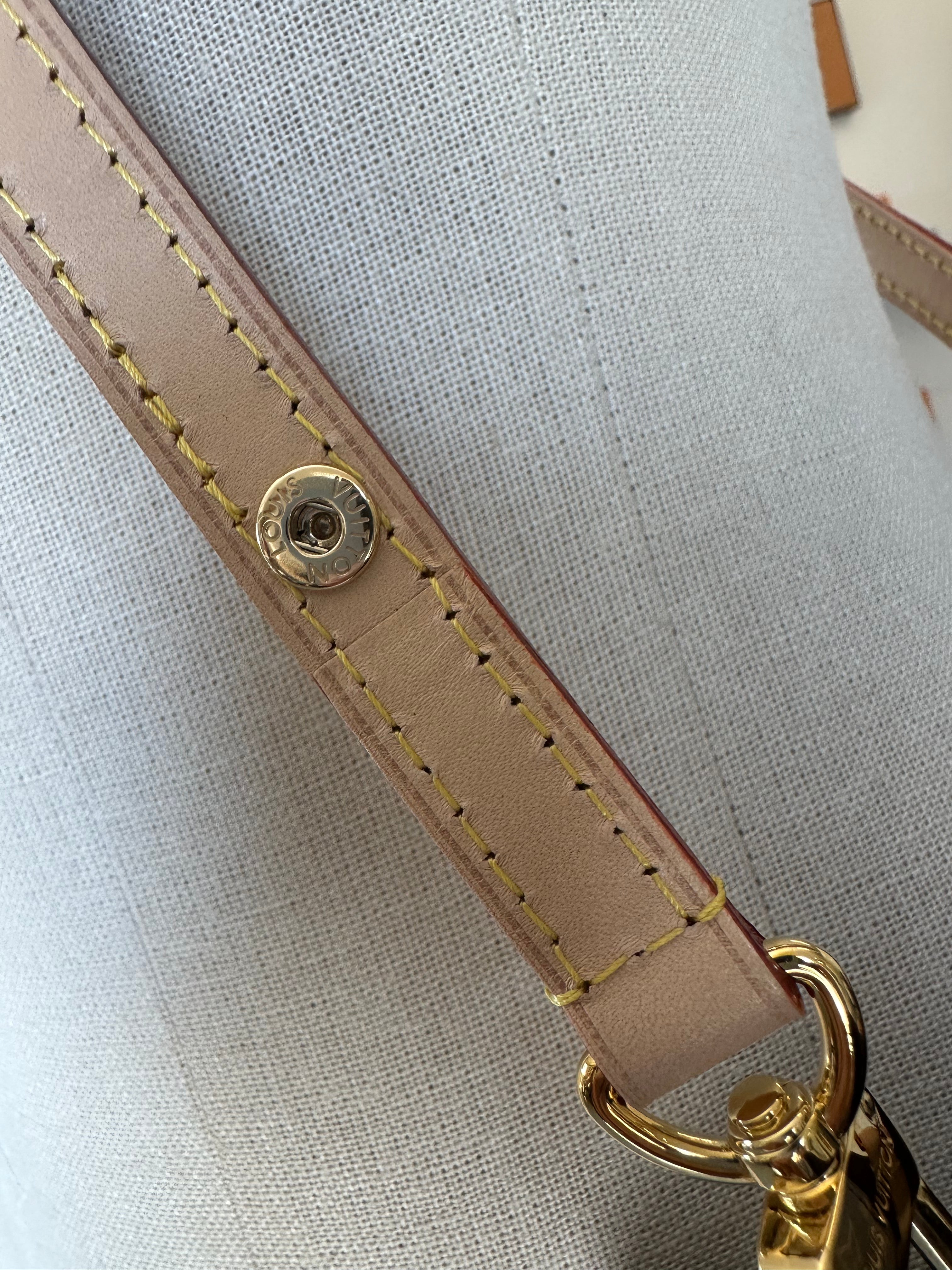 Louis Vuitton NéoNoé BB Bag