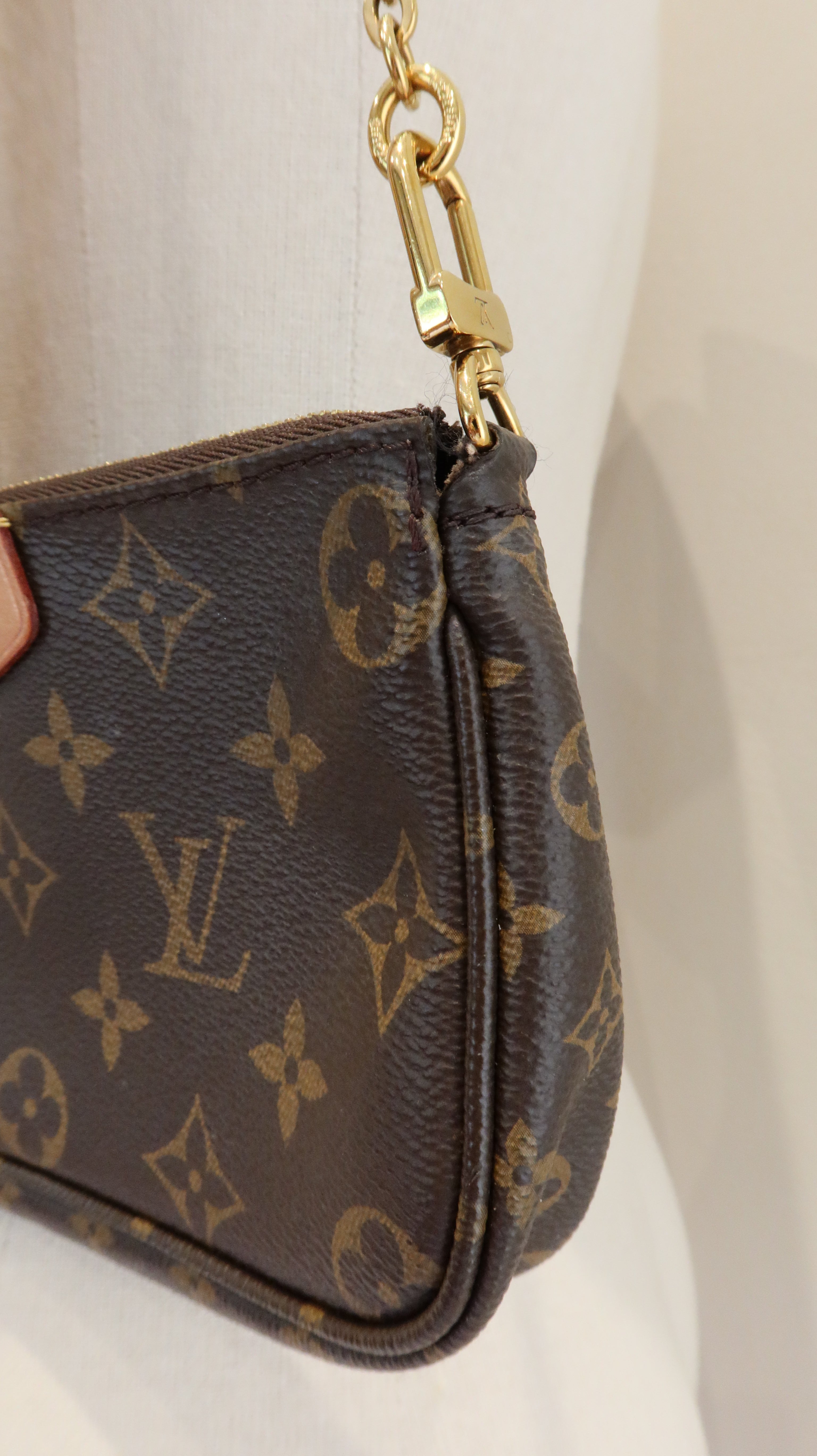 Louis Vuitton Multi Pochette Accessoires