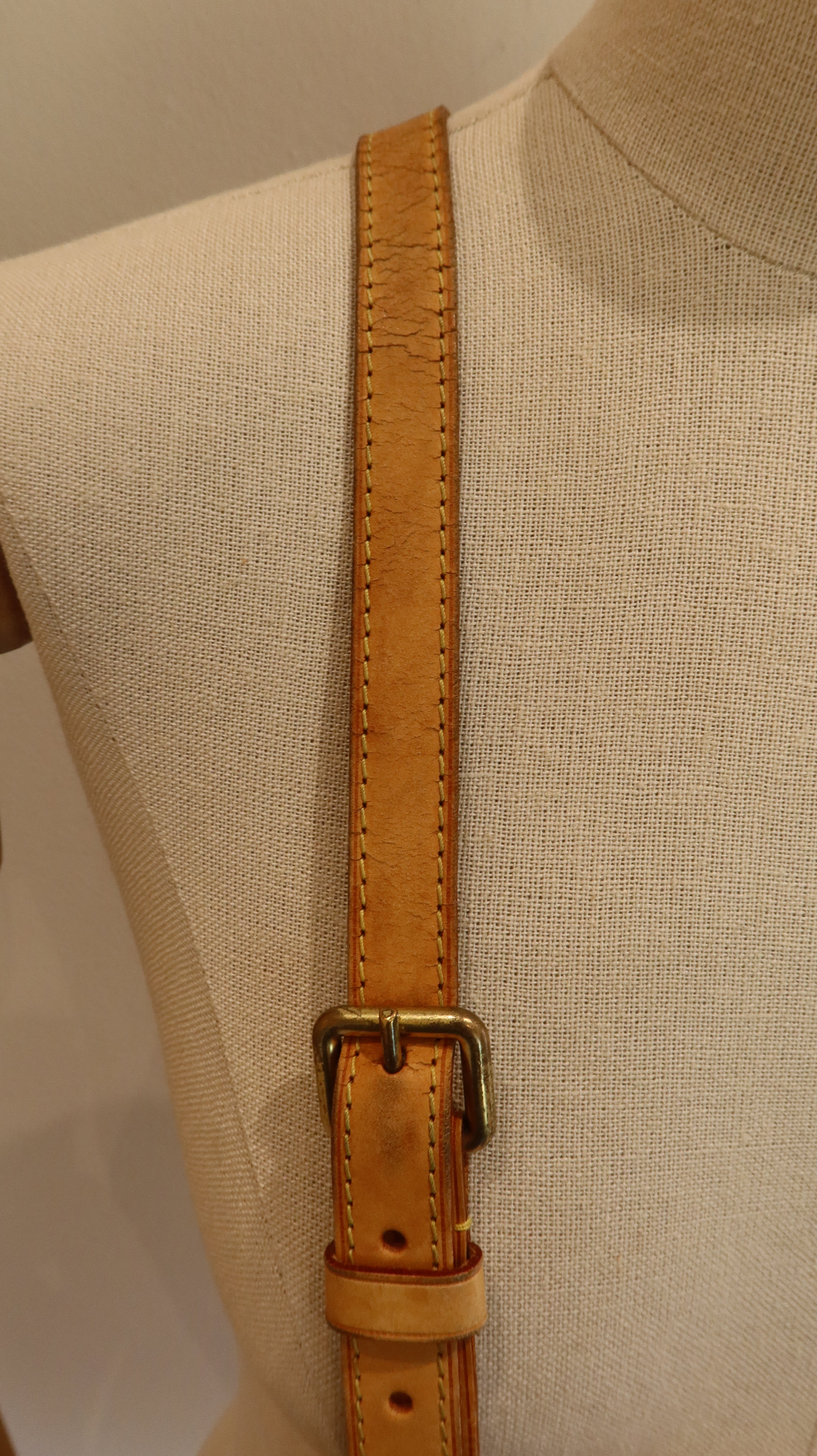 Louis Vuitton Odeon Bag