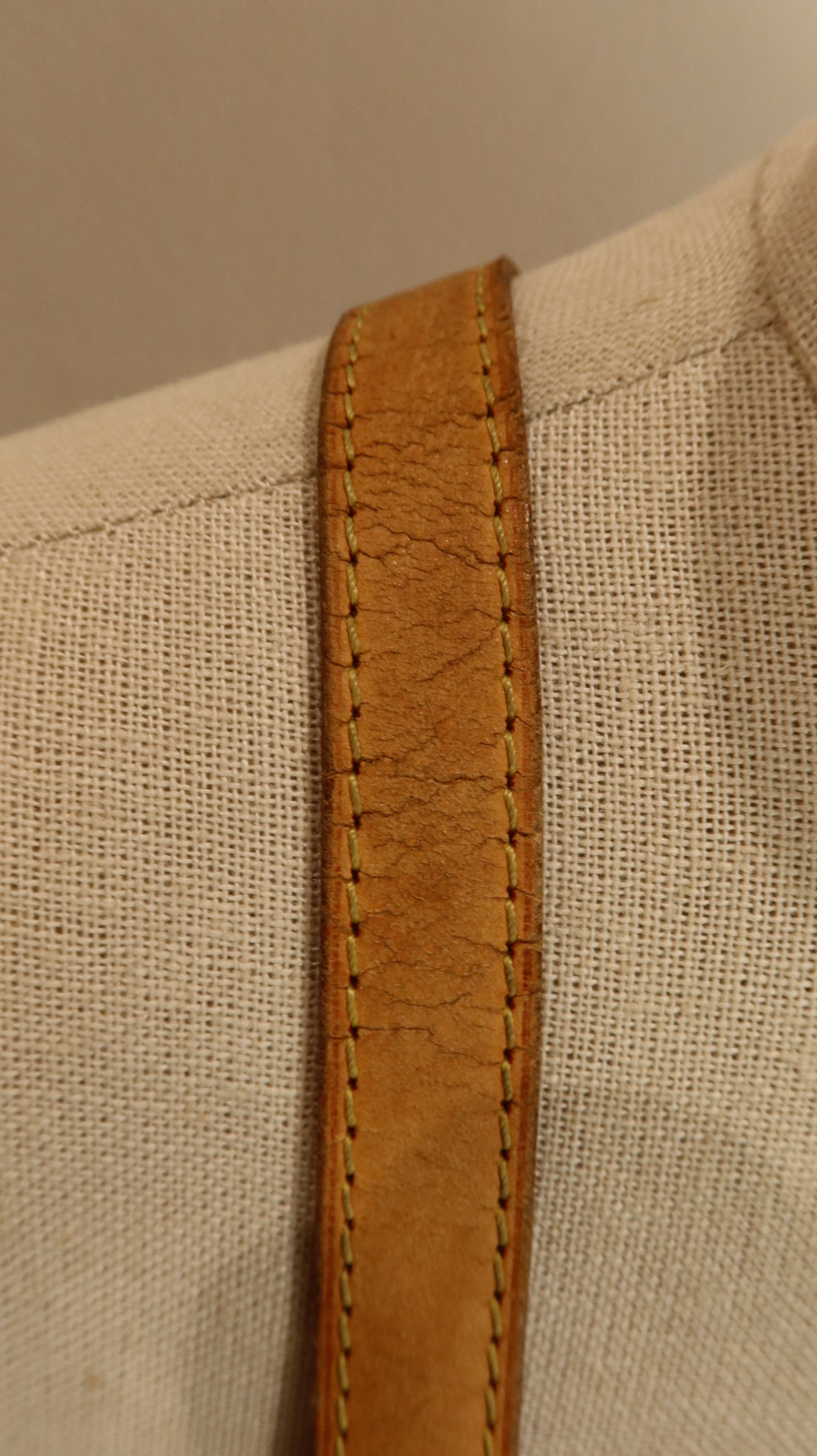 Louis Vuitton Odeon Bag