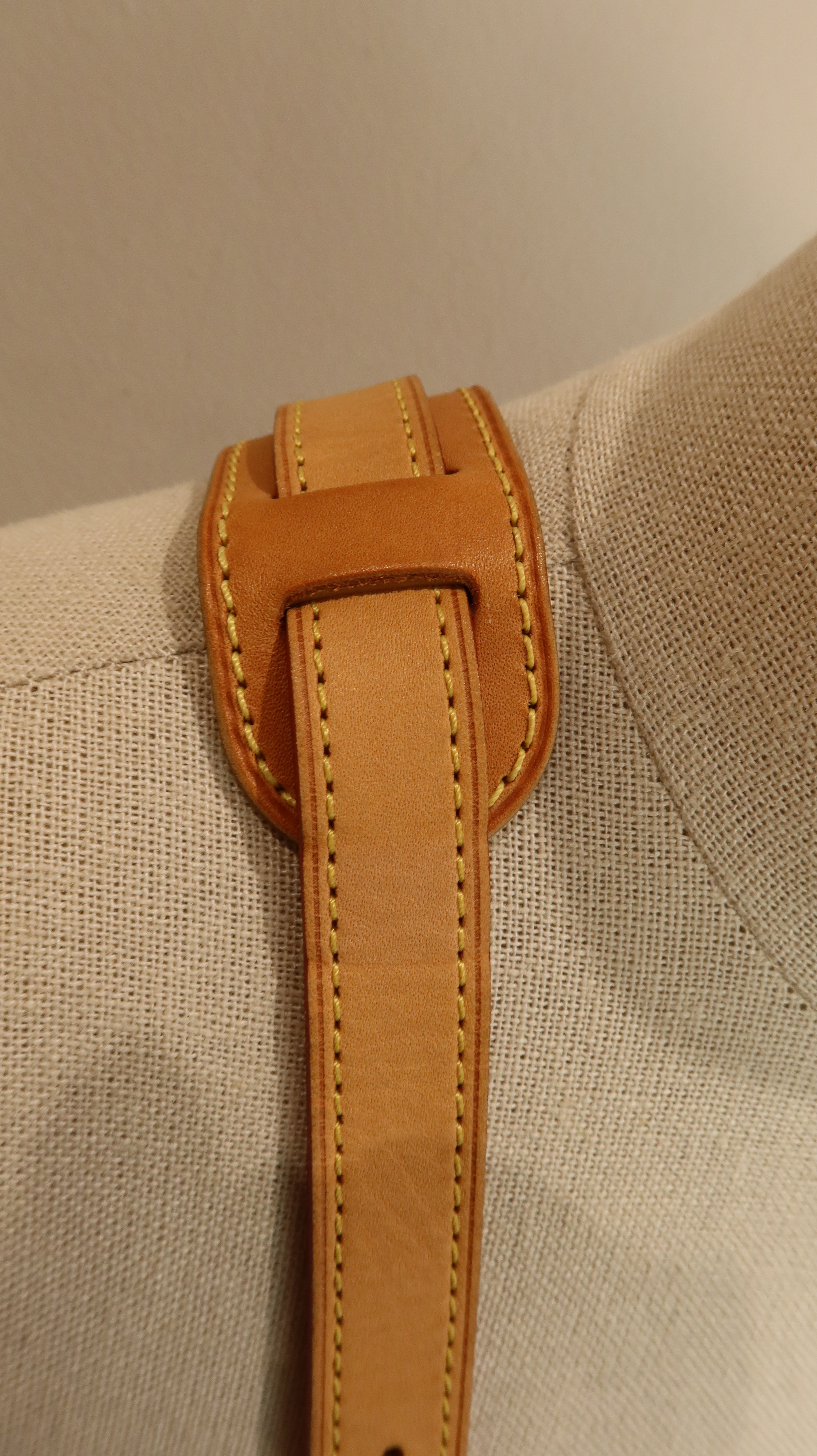 Louis Vuitton Saumur Bag