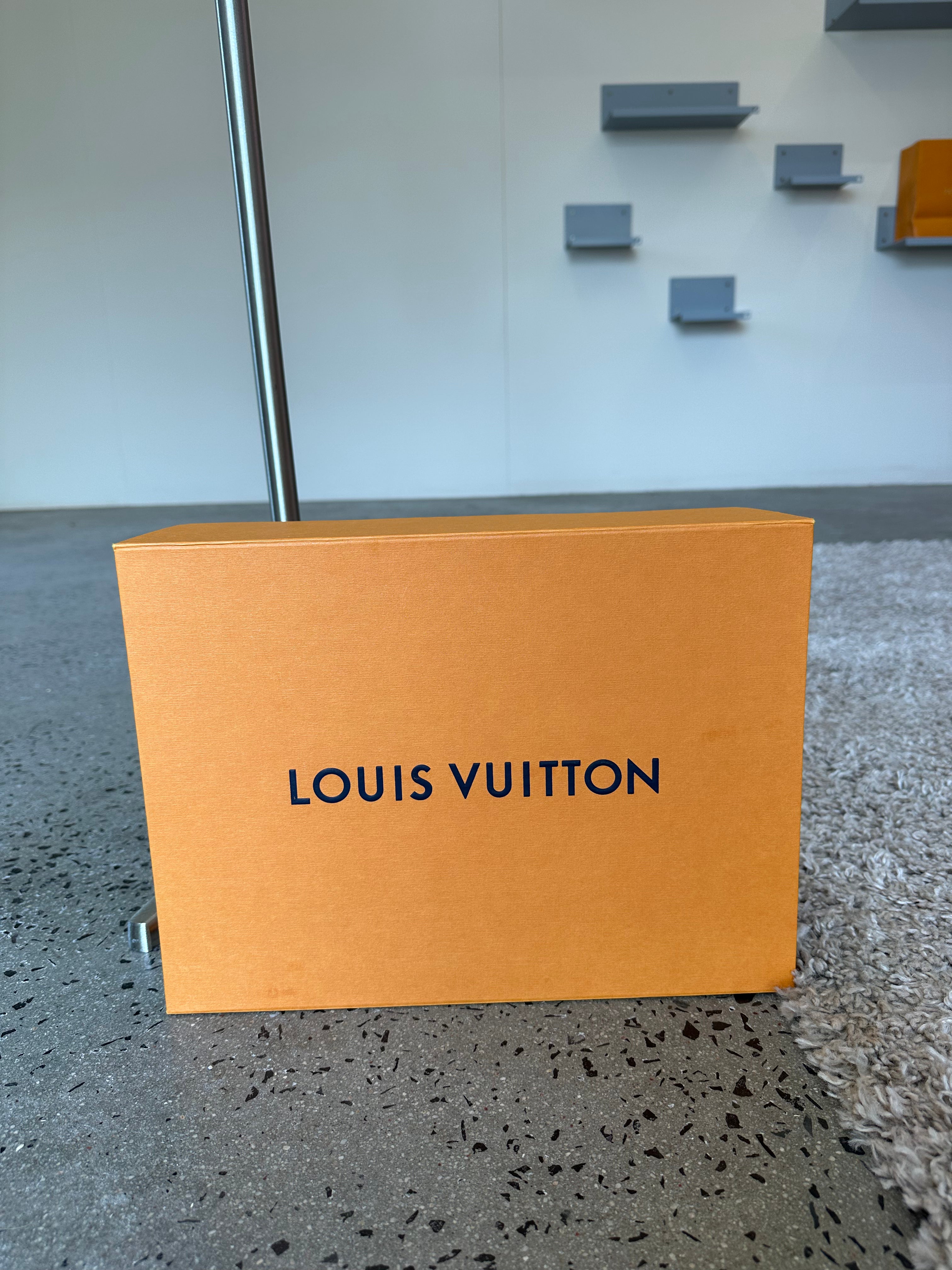 Louis Vuitton Coussin PM Bag