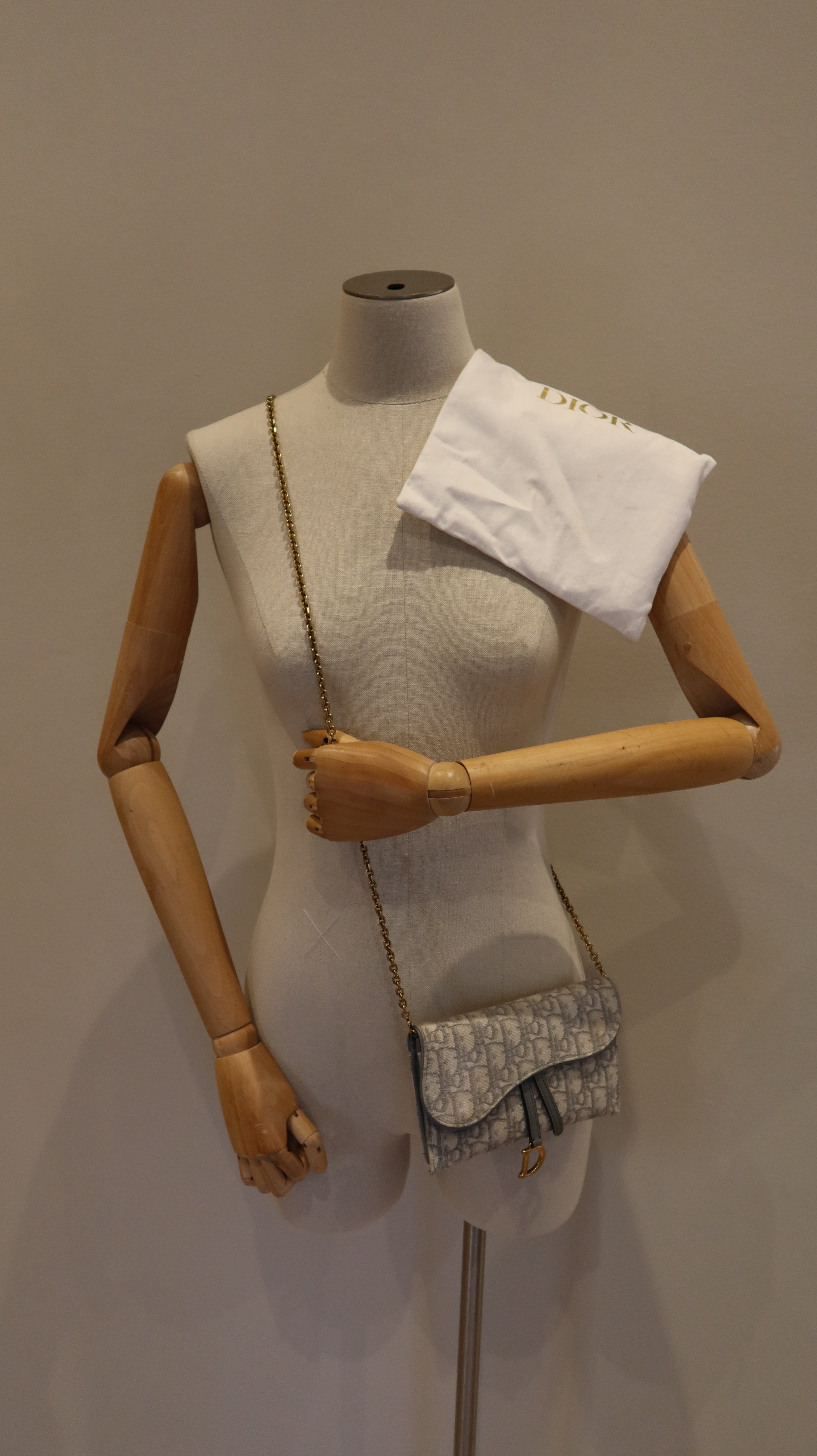 Christian Dior Saddle Wallet On Chain