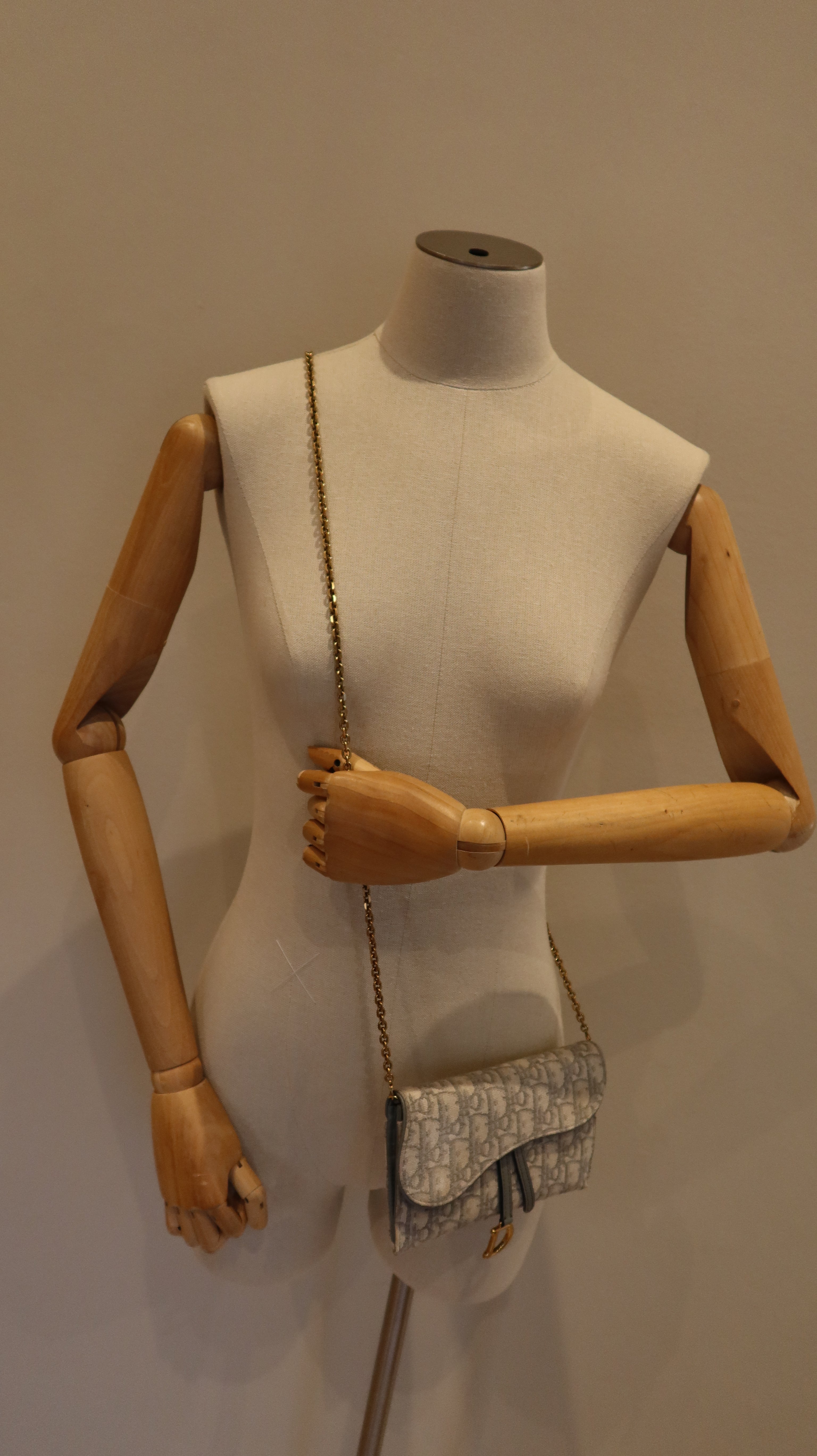 Christian Dior Saddle Wallet On Chain