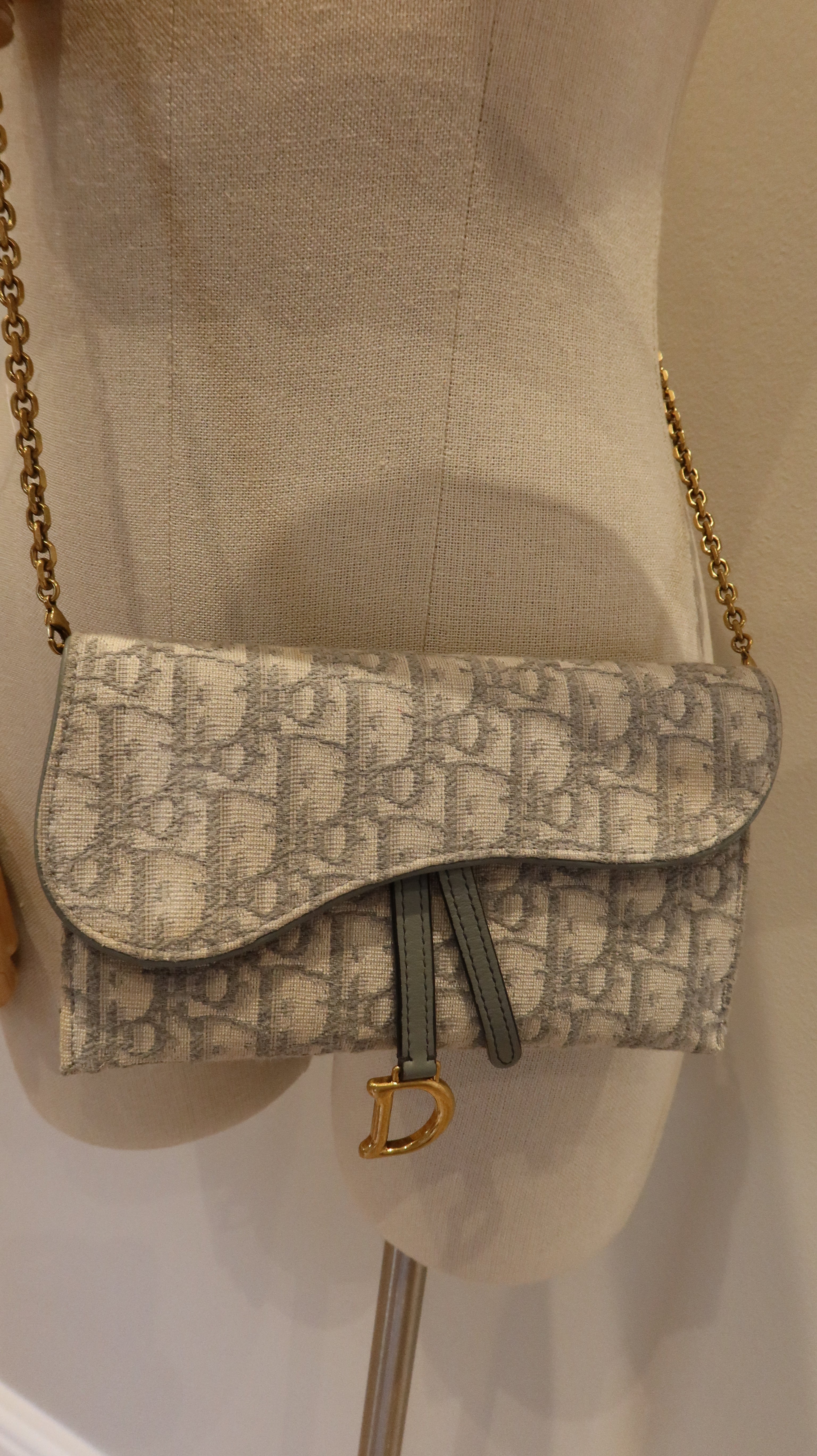 Christian Dior Saddle Wallet On Chain