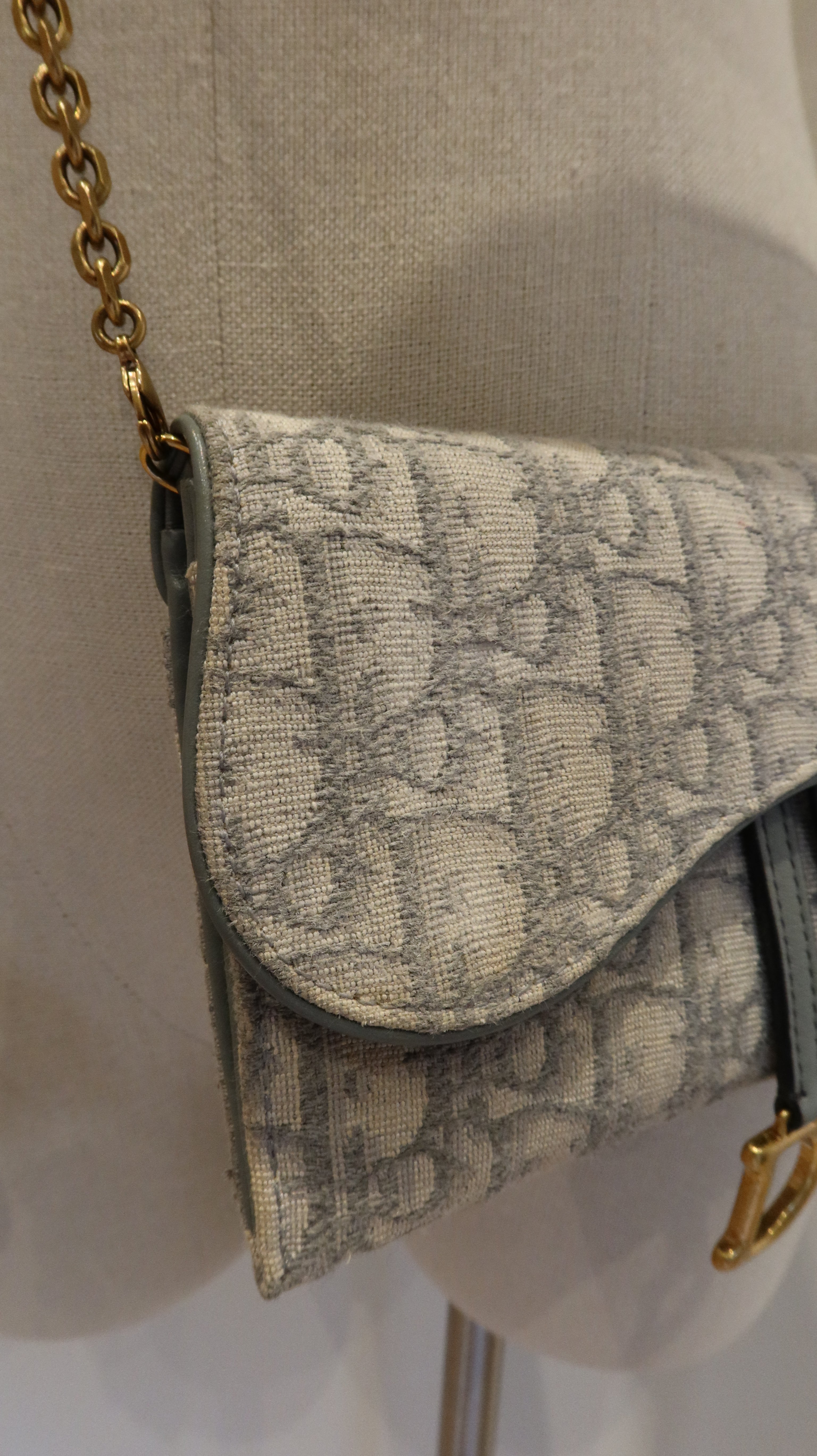 Christian Dior Saddle Wallet On Chain