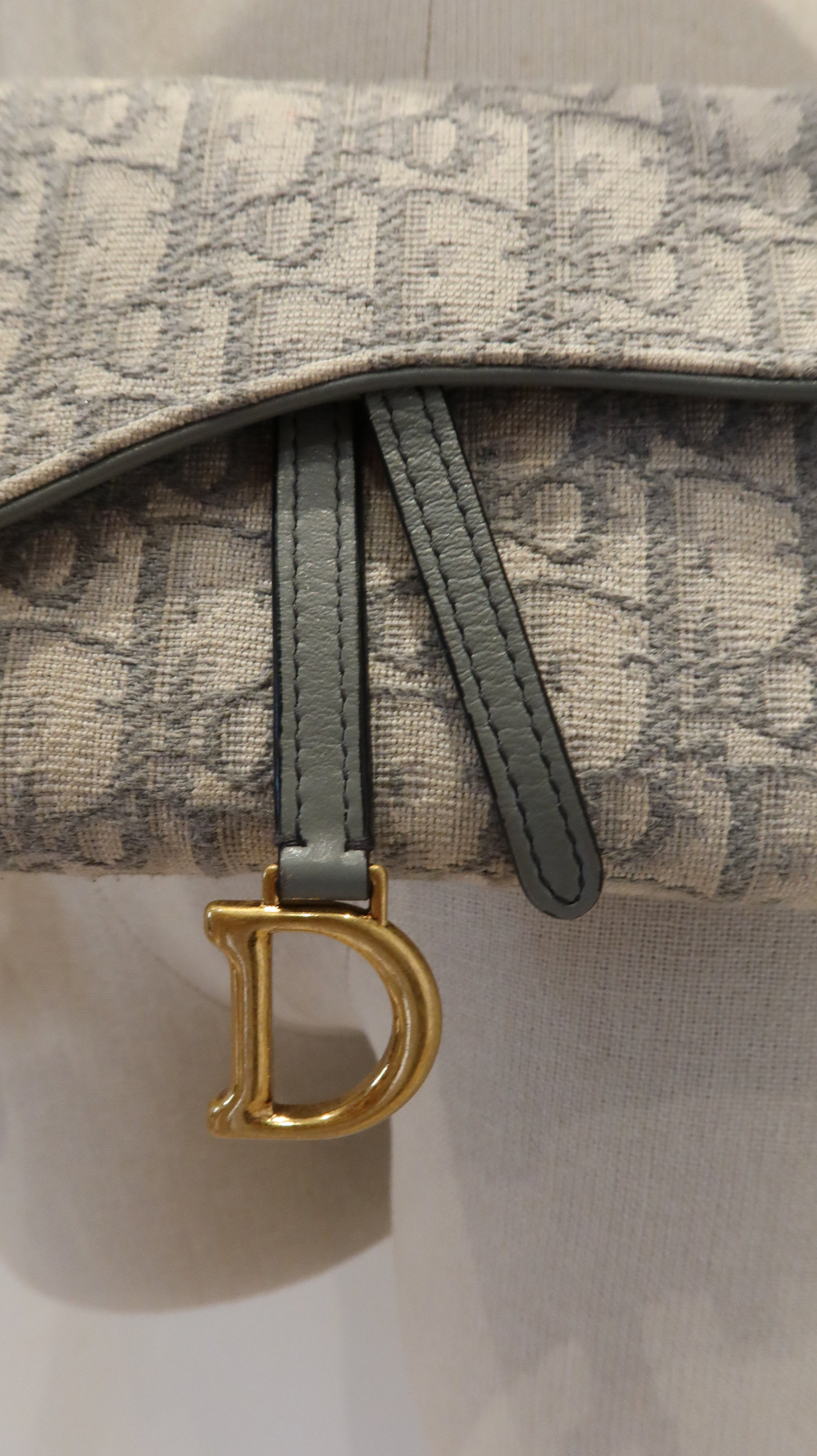 Christian Dior Saddle Wallet On Chain