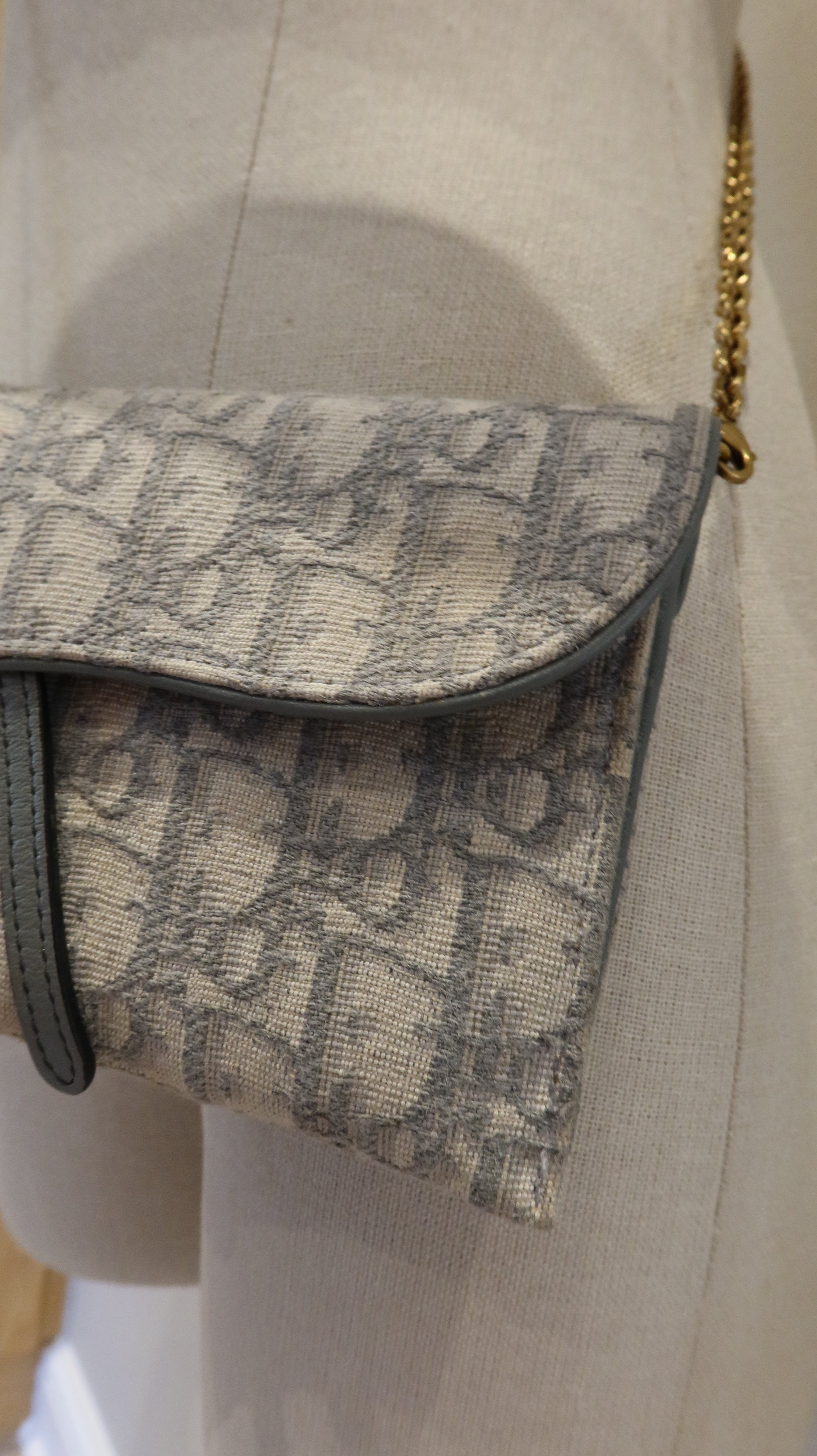 Christian Dior Saddle Wallet On Chain