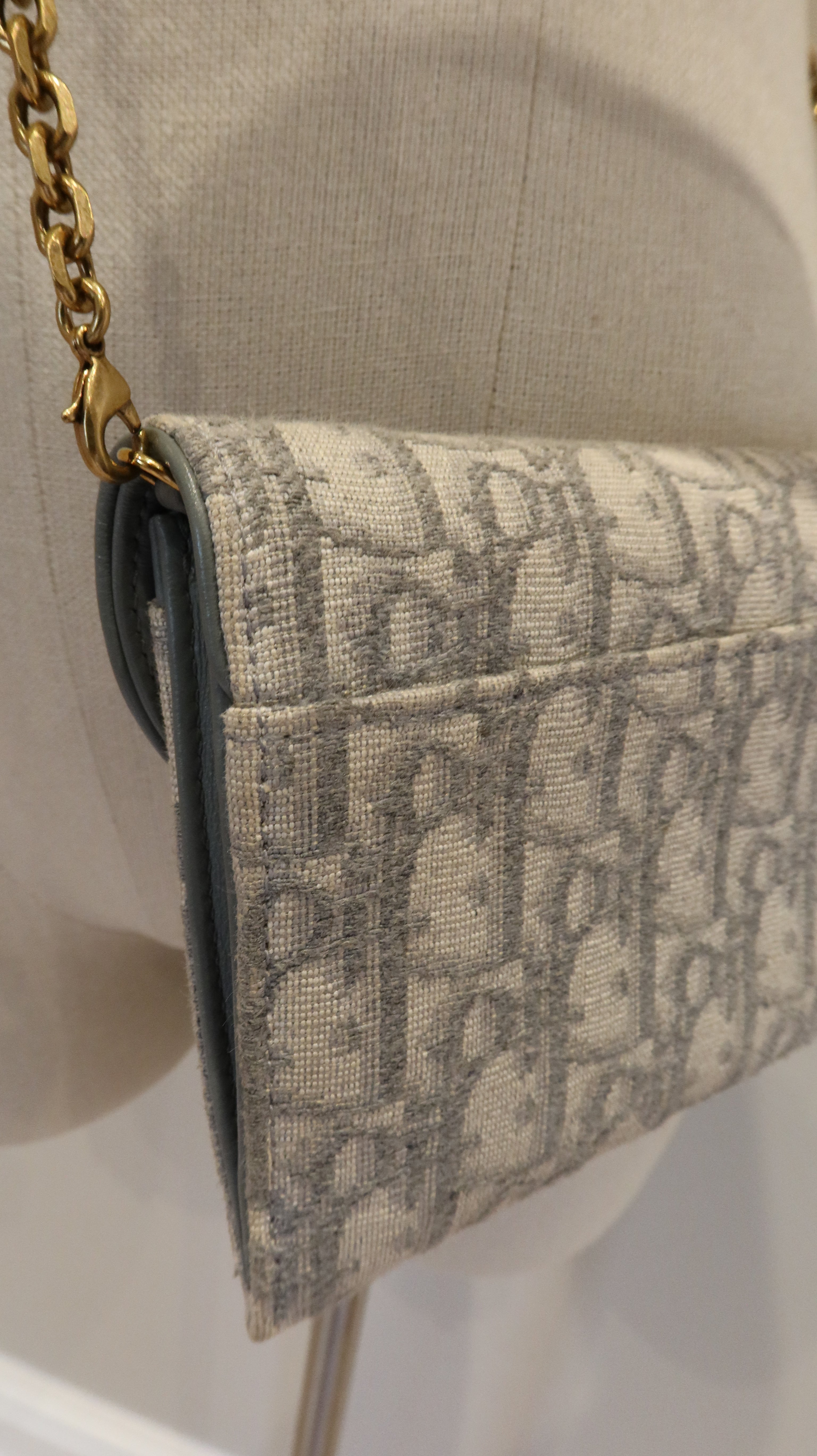 Christian Dior Saddle Wallet On Chain