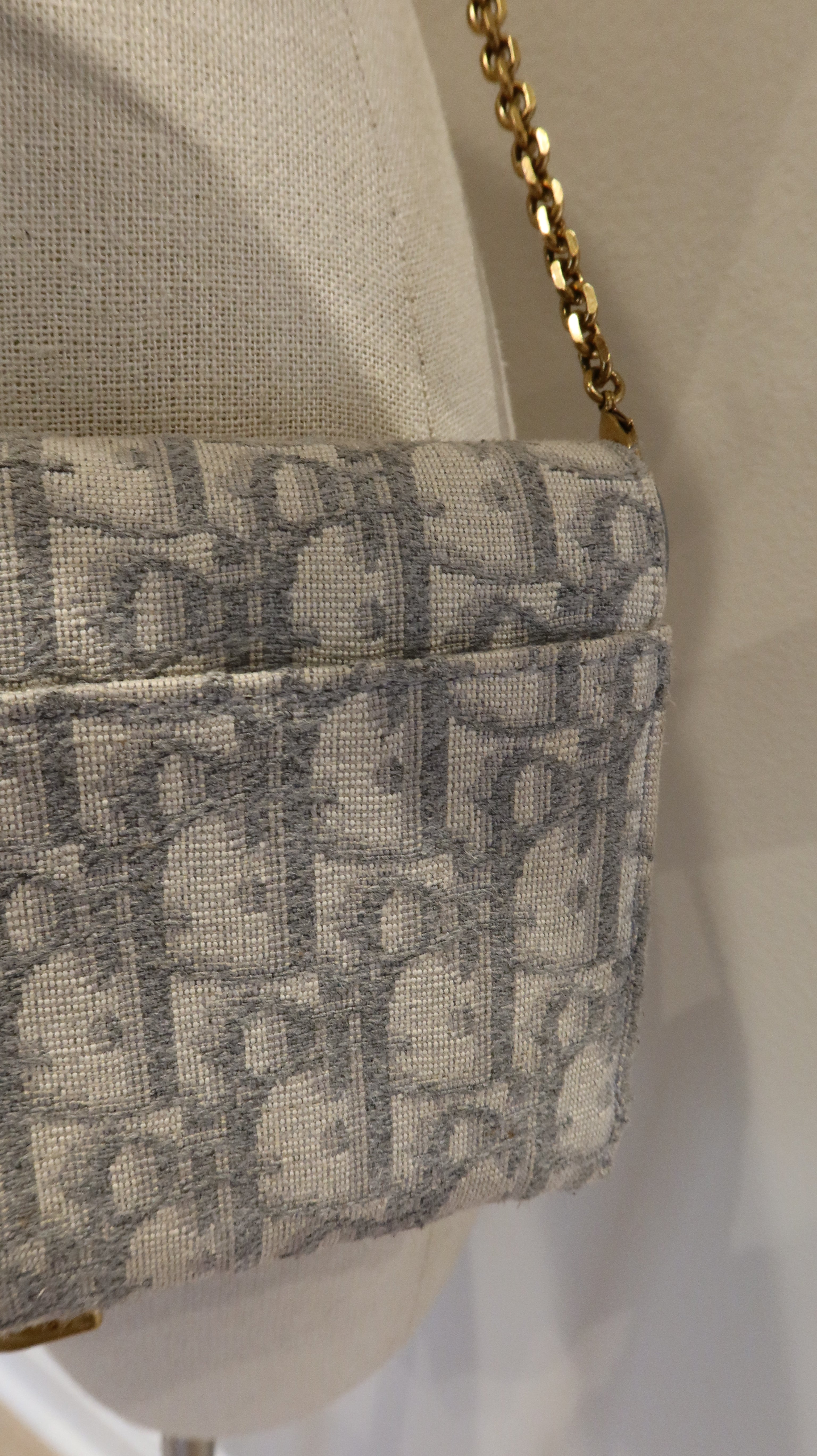 Christian Dior Saddle Wallet On Chain