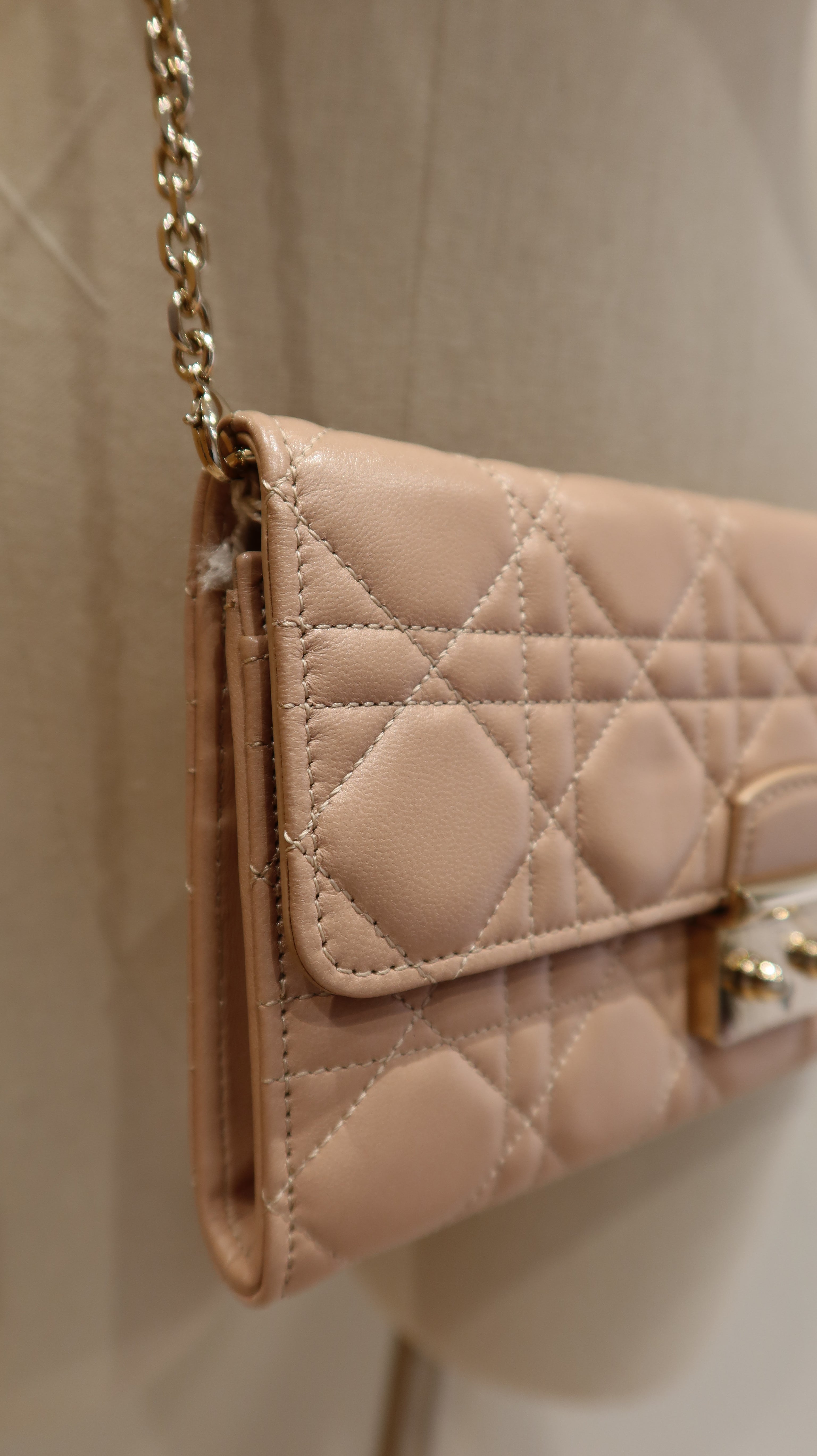 Christian Dior Wallet On Chain