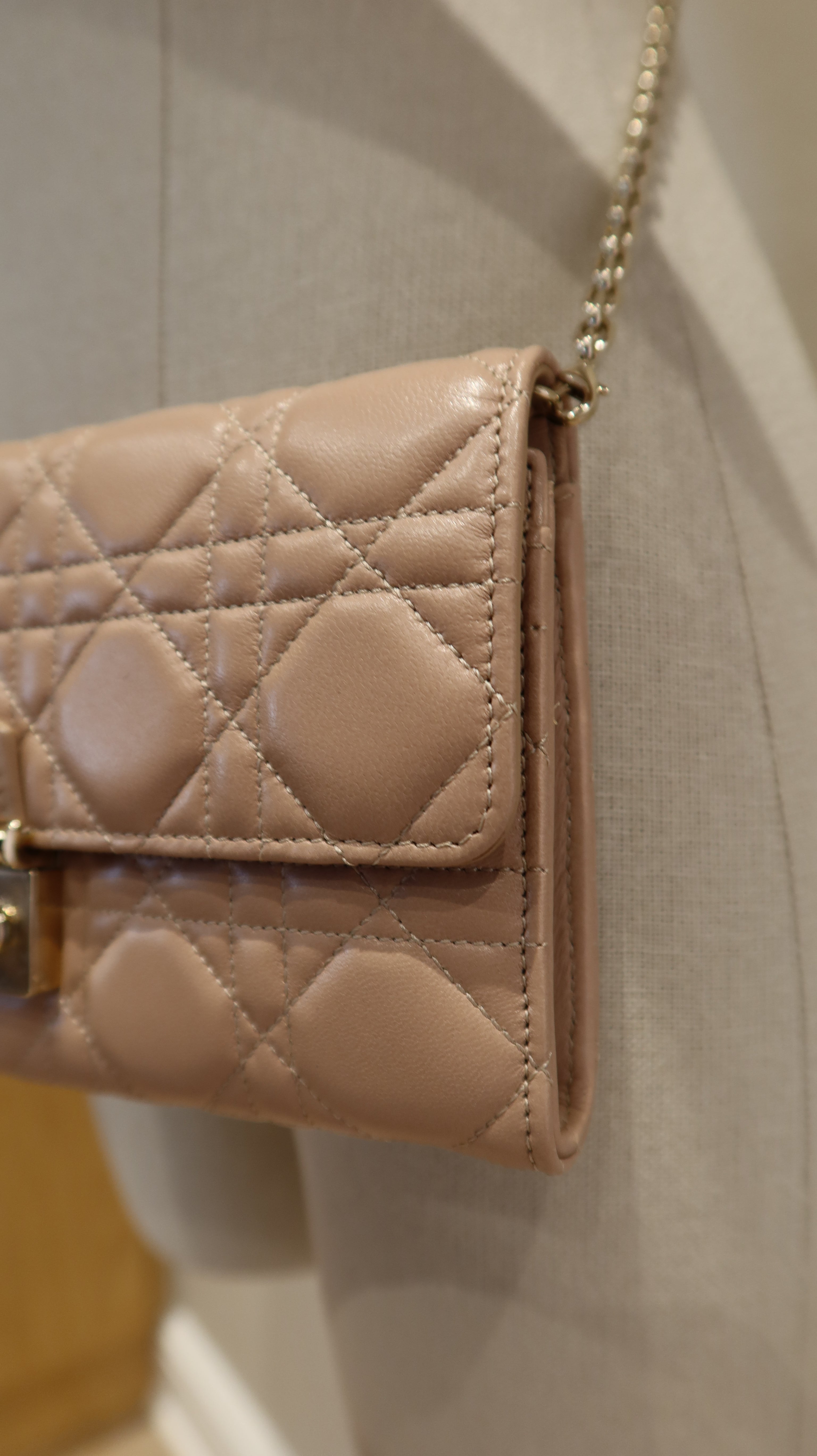 Christian Dior Wallet On Chain