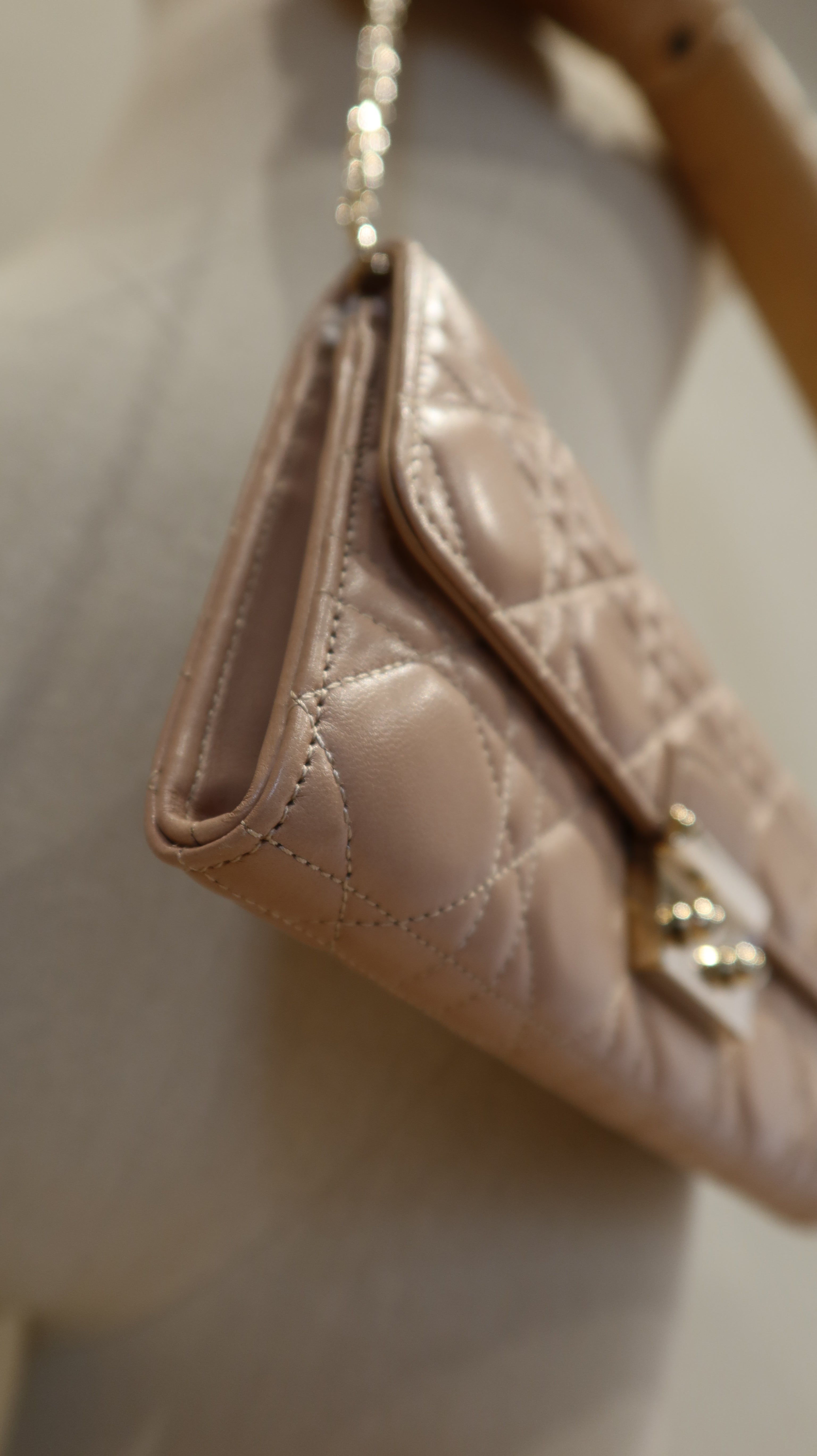 Christian Dior Wallet On Chain