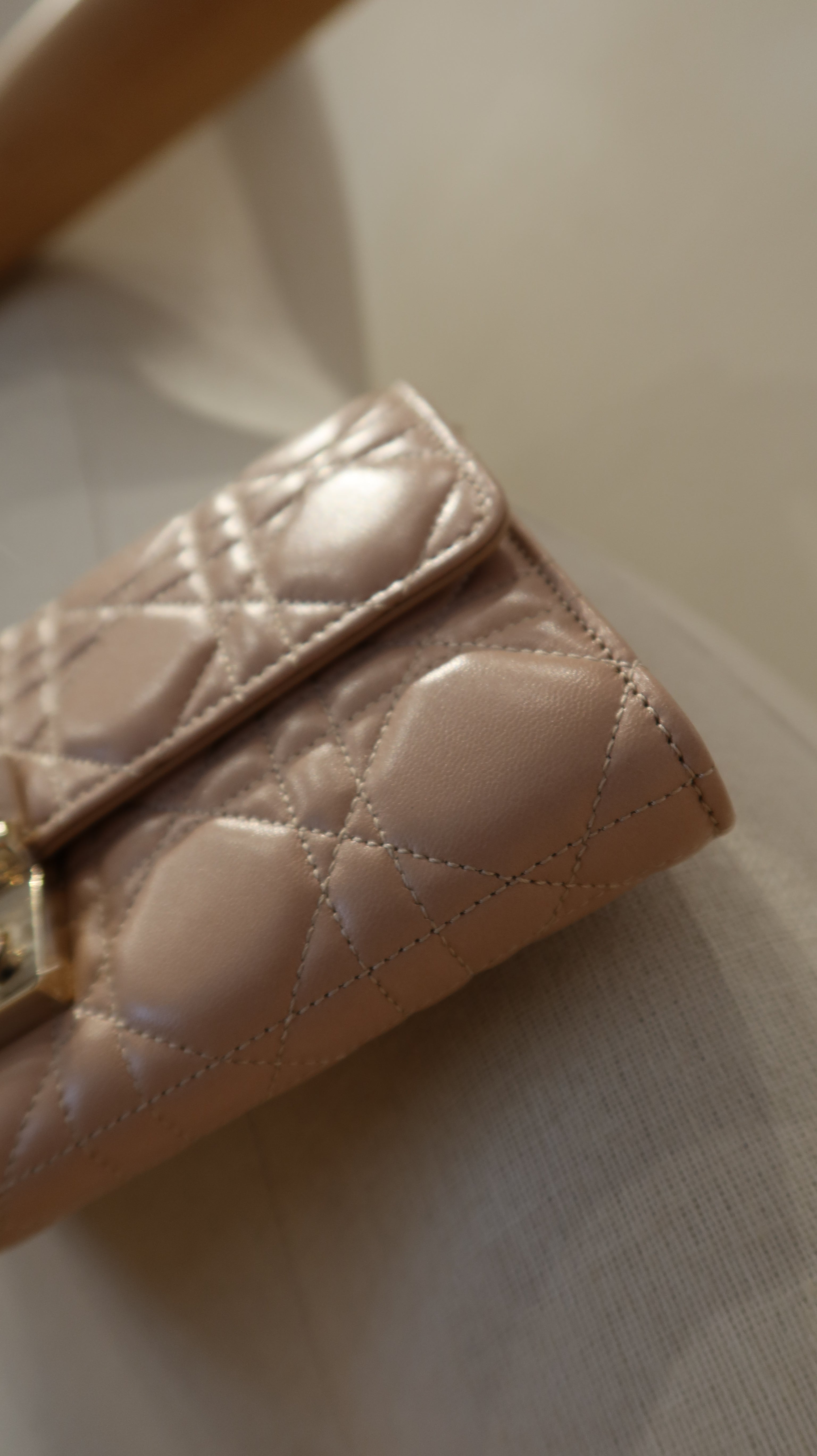 Christian Dior Wallet On Chain
