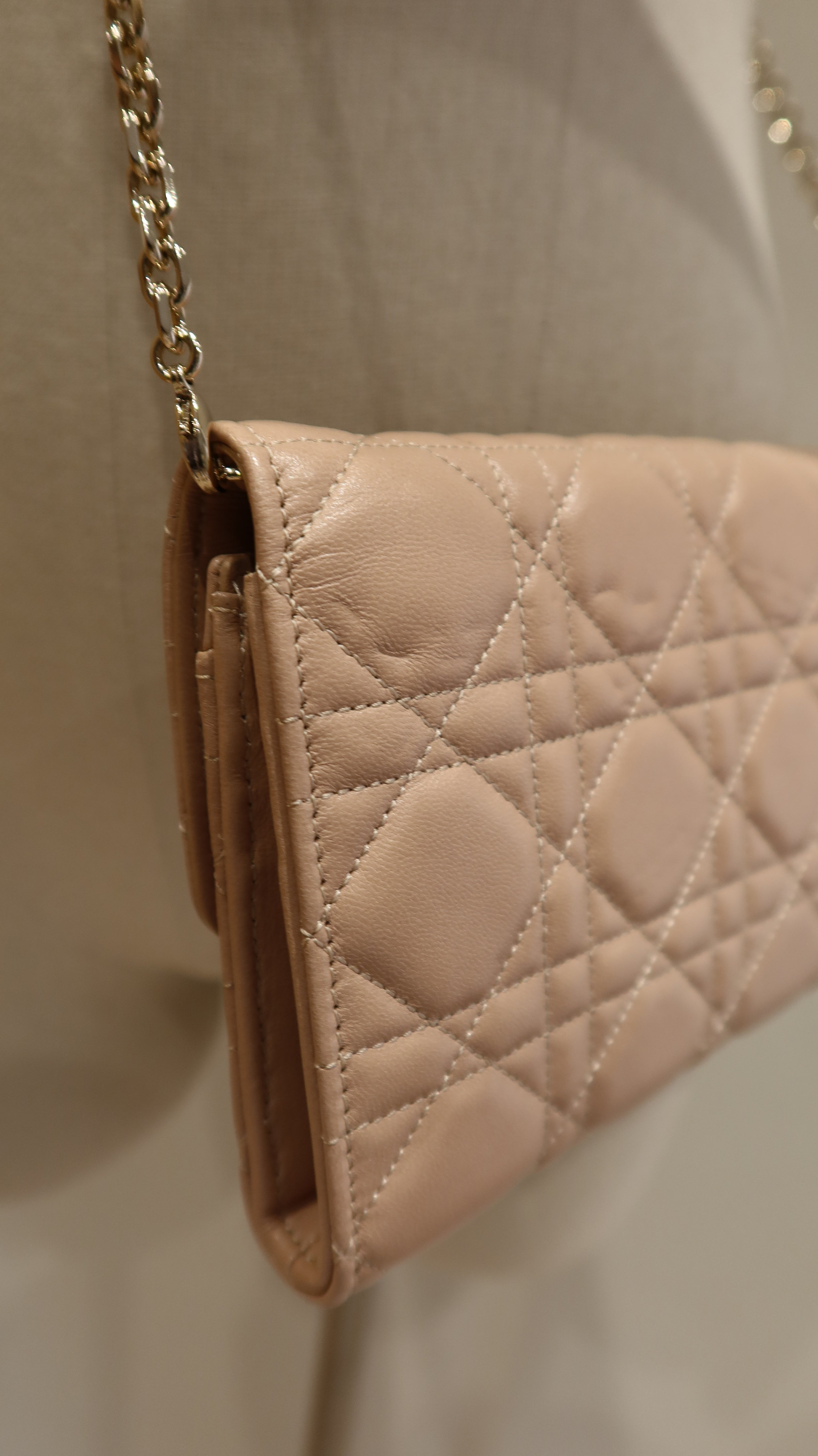 Christian Dior Wallet On Chain