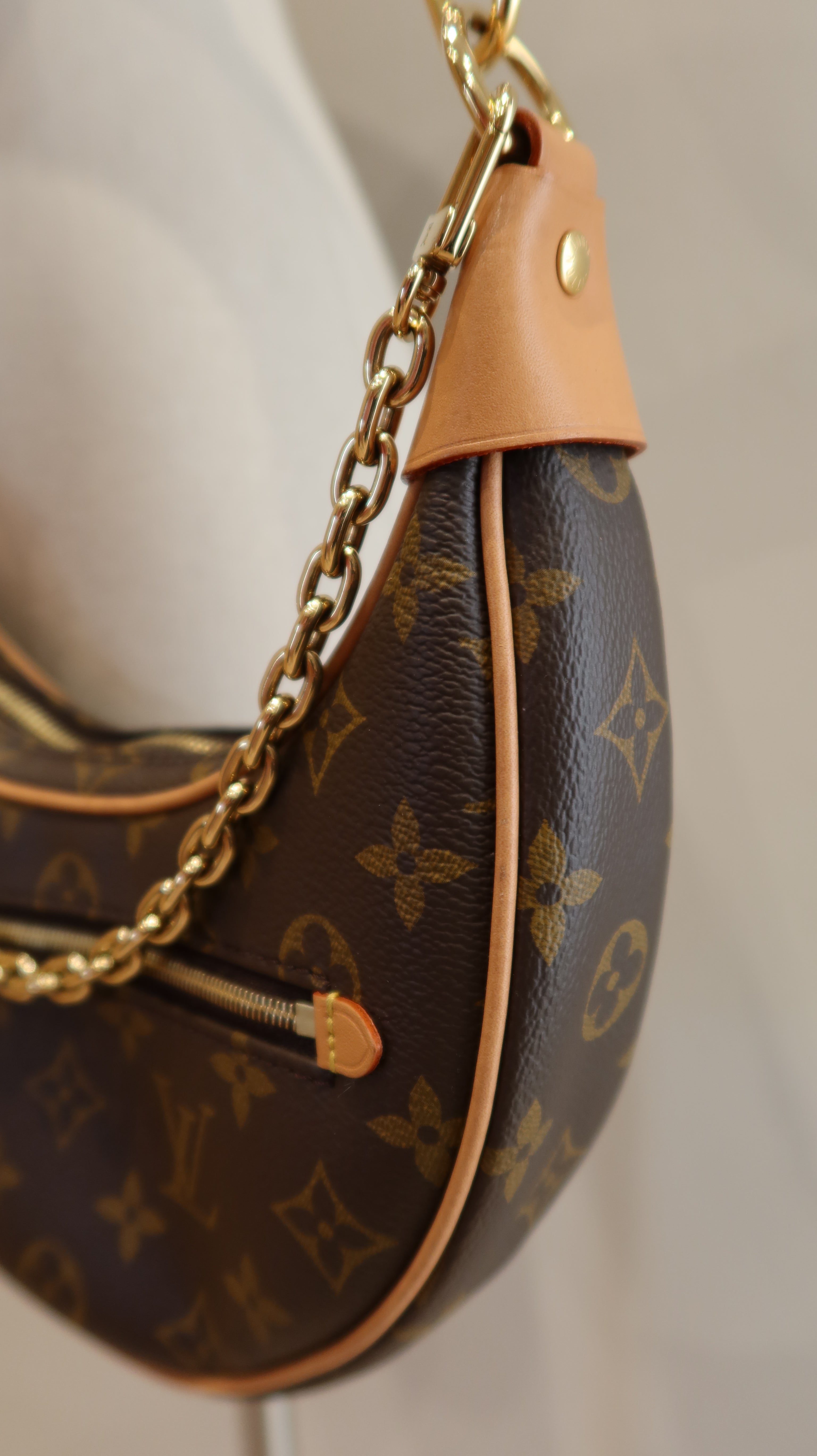 Louis Vuitton Loop PM Bag