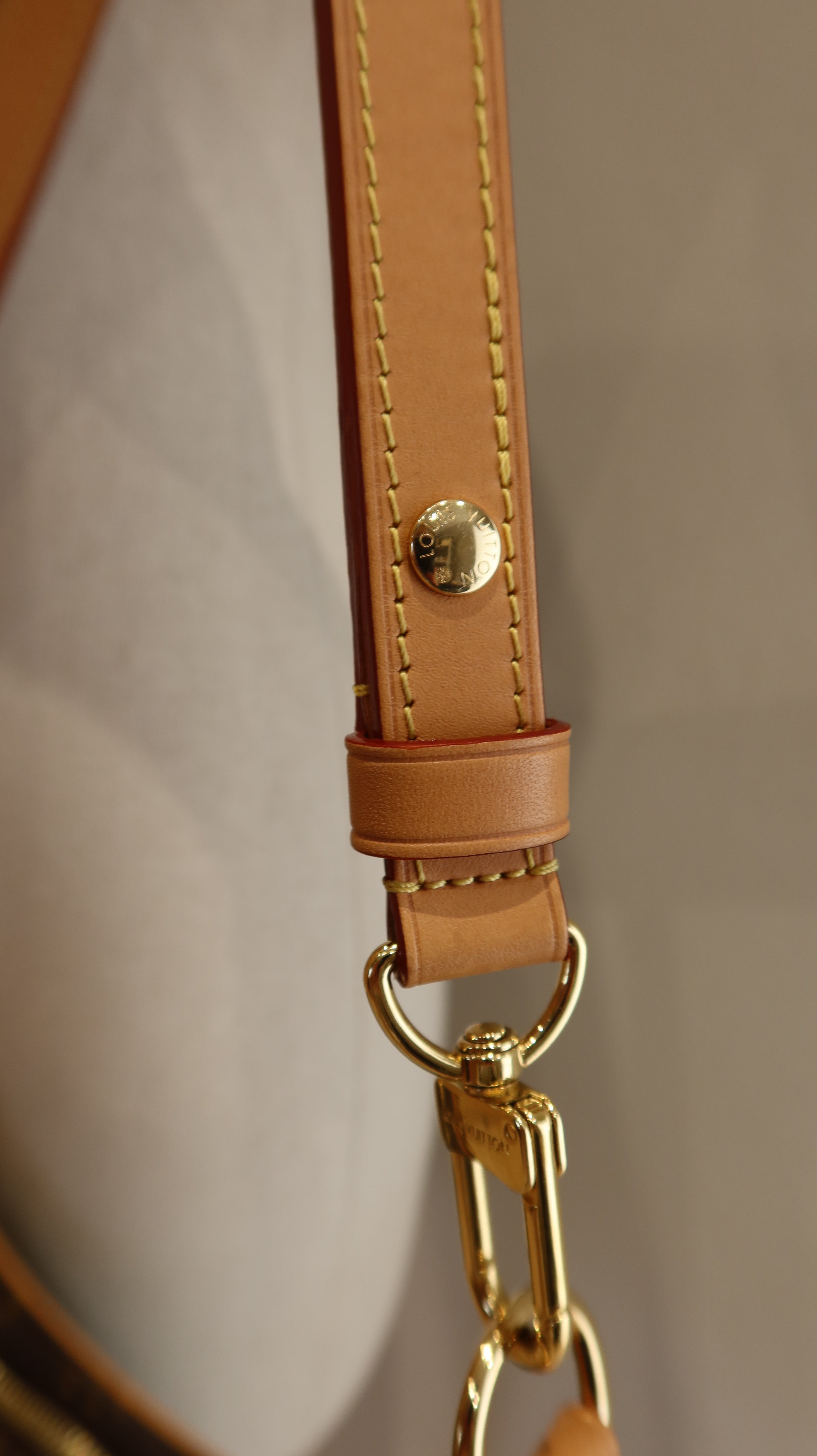 Louis Vuitton Loop PM Bag