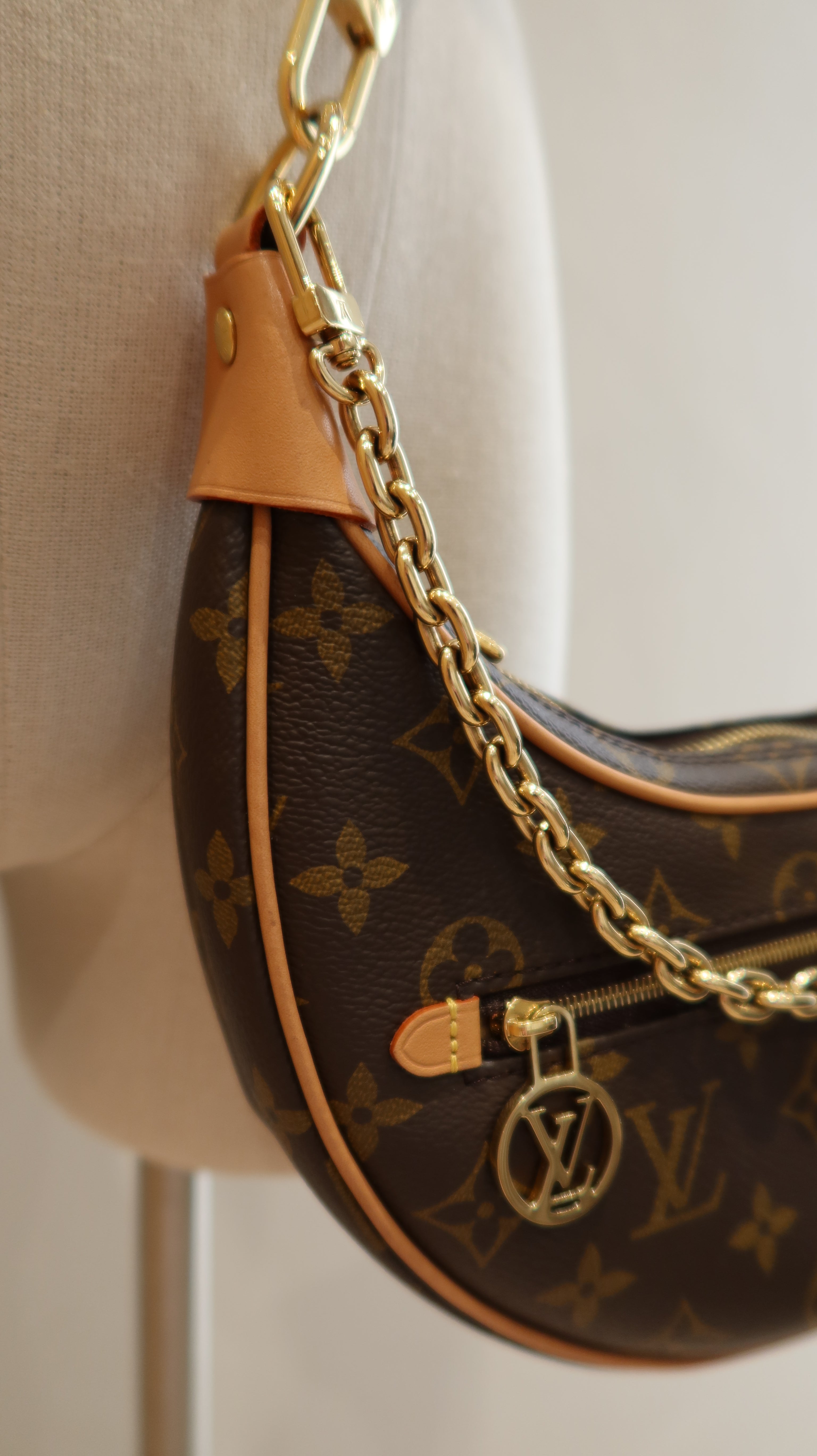 Louis Vuitton Loop PM Bag